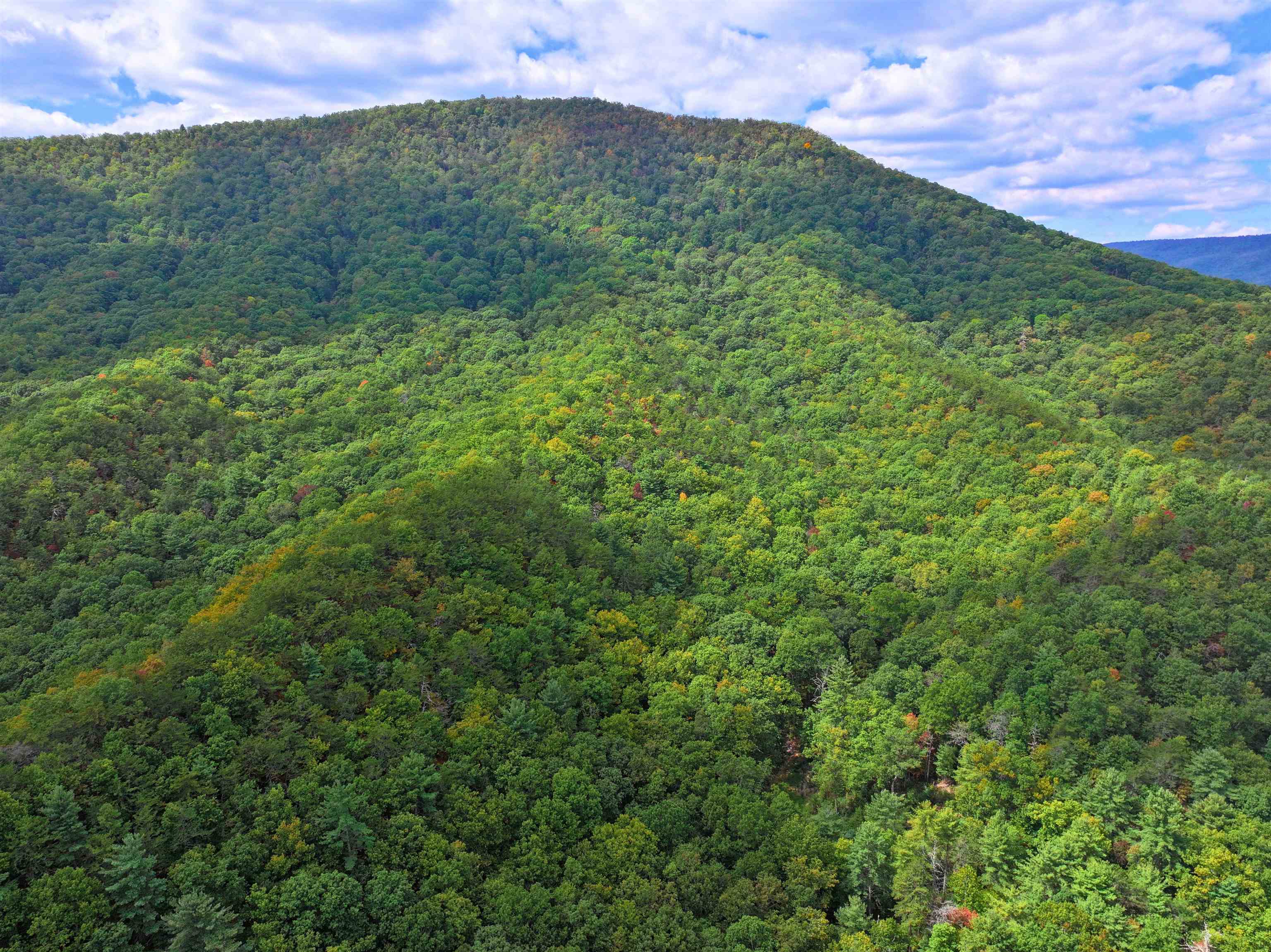 Tbd Dry Gulch Road Wytheville VA 24382