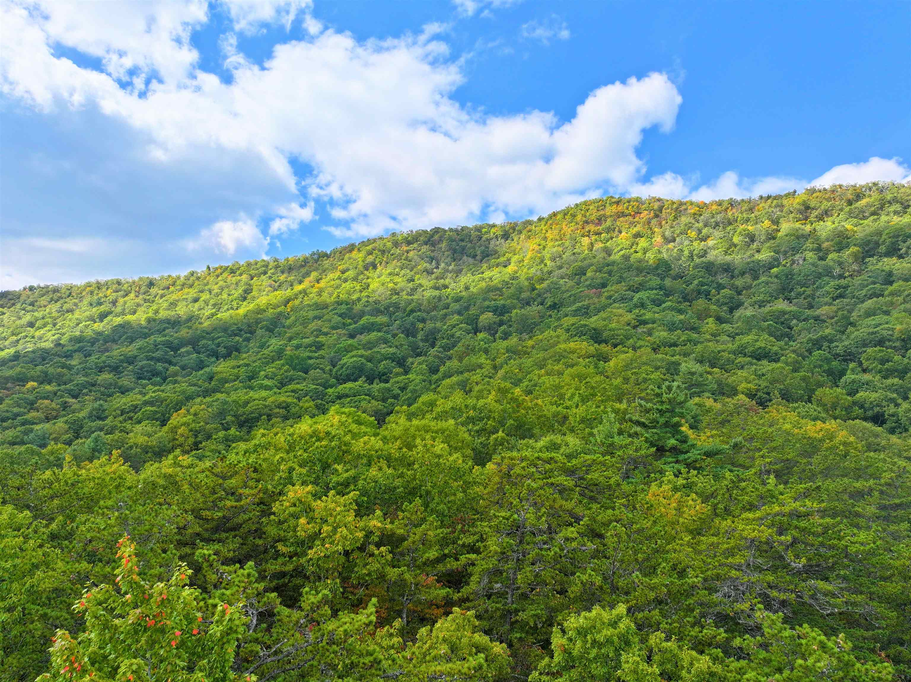 Tbd Dry Gulch Road Wytheville VA 24382