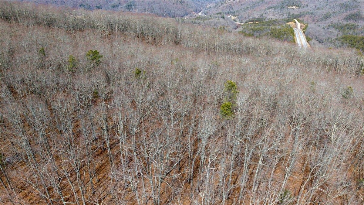 Tbd Old Cloyd Road Pulaski VA 24301