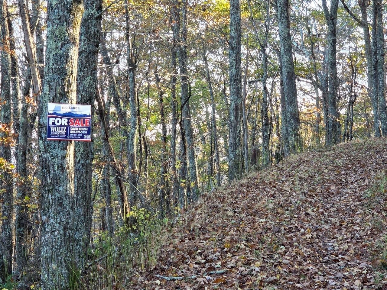 0 Honeysuckle Road Elliston VA 24087