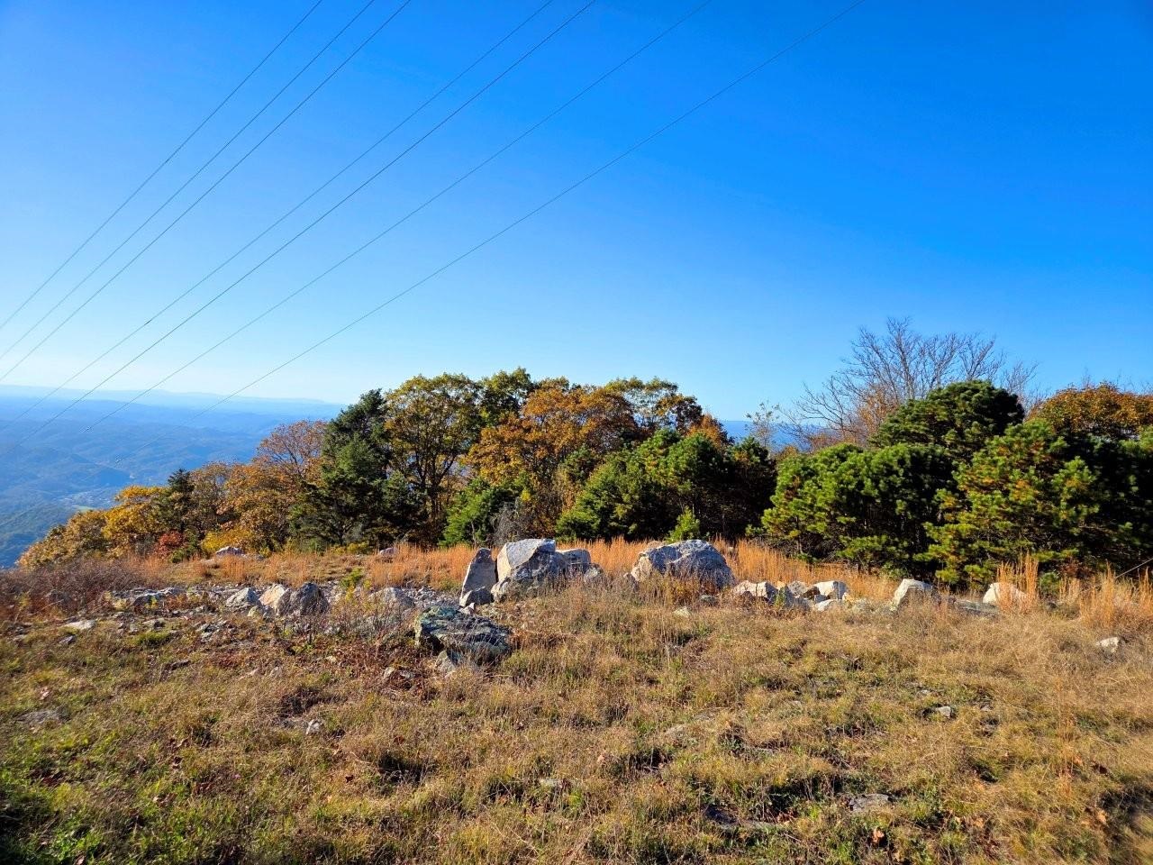 0 Honeysuckle Road Elliston VA 24087