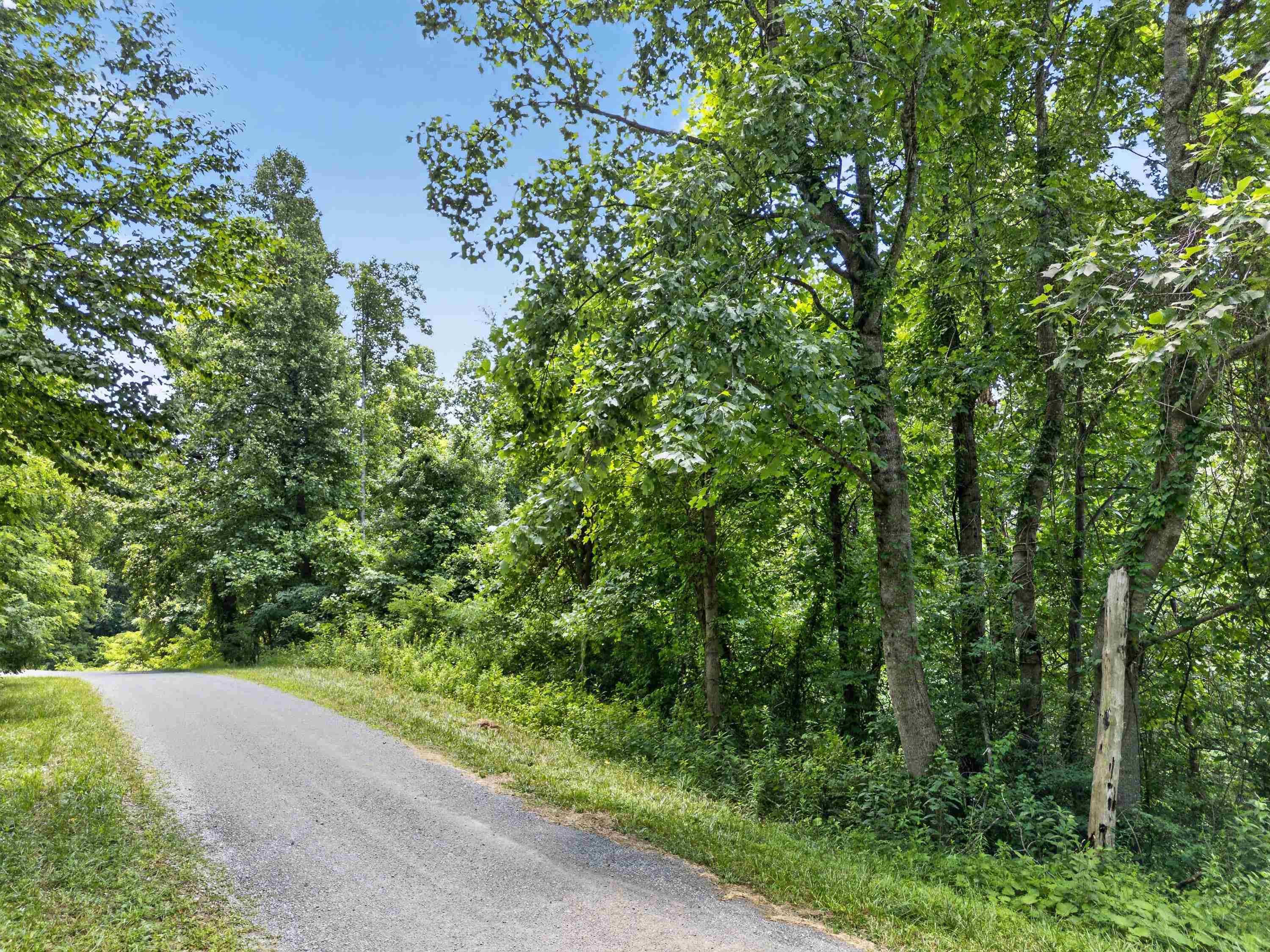 Tbd Ridge Oak, Chestnut Ridge Drive Copper Hill VA 24079