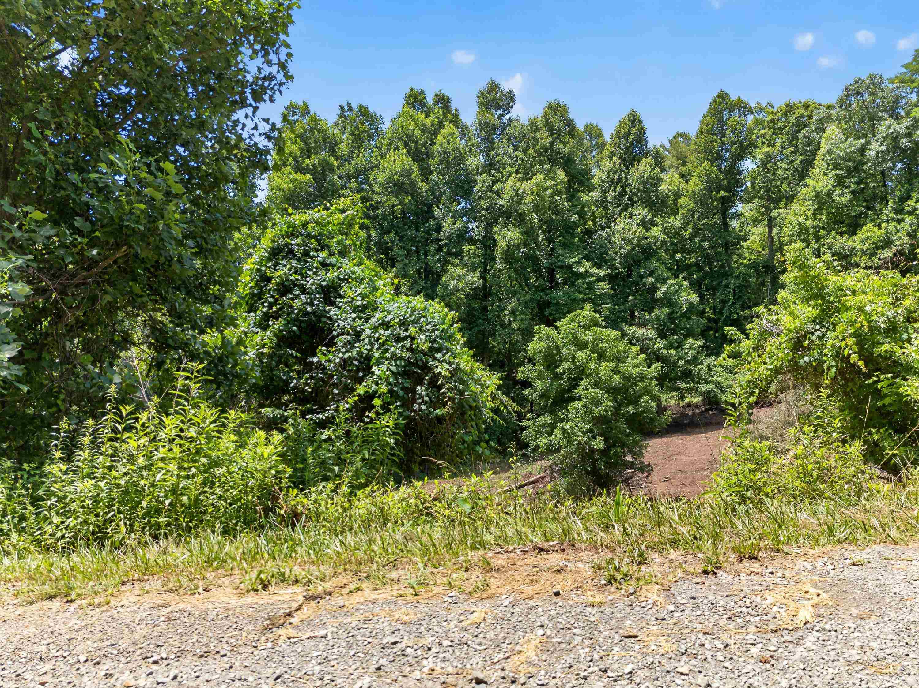 Tbd Ridge Oak, Chestnut Ridge Drive Copper Hill VA 24079