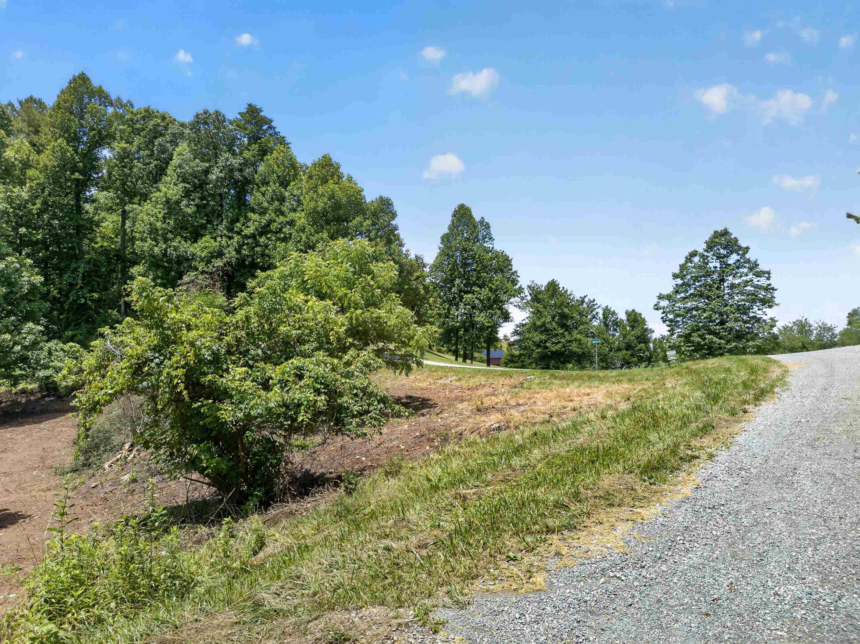 Tbd Ridge Oak, Chestnut Ridge Drive Copper Hill VA 24079