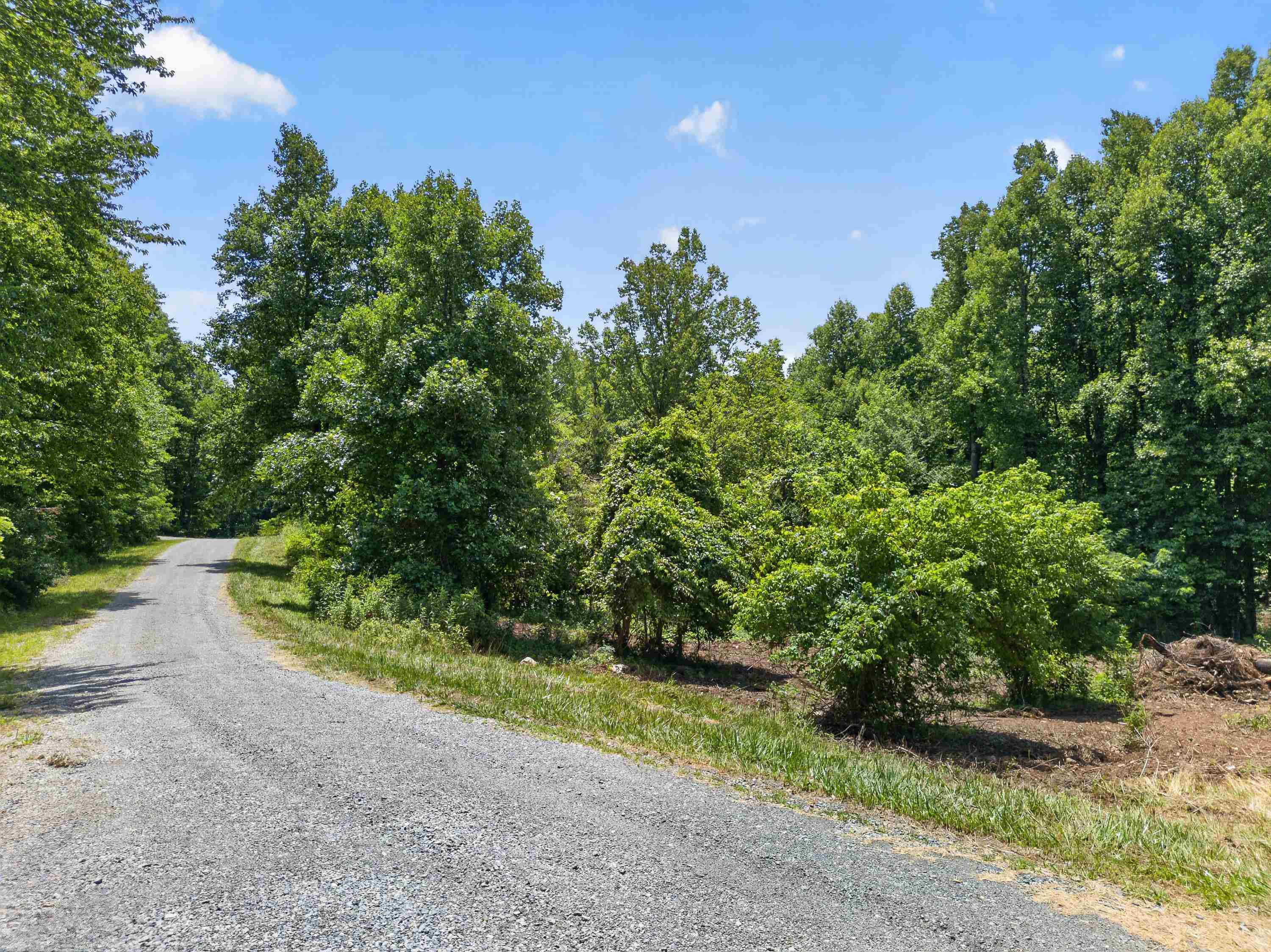 Tbd Ridge Oak, Chestnut Ridge Drive Copper Hill VA 24079