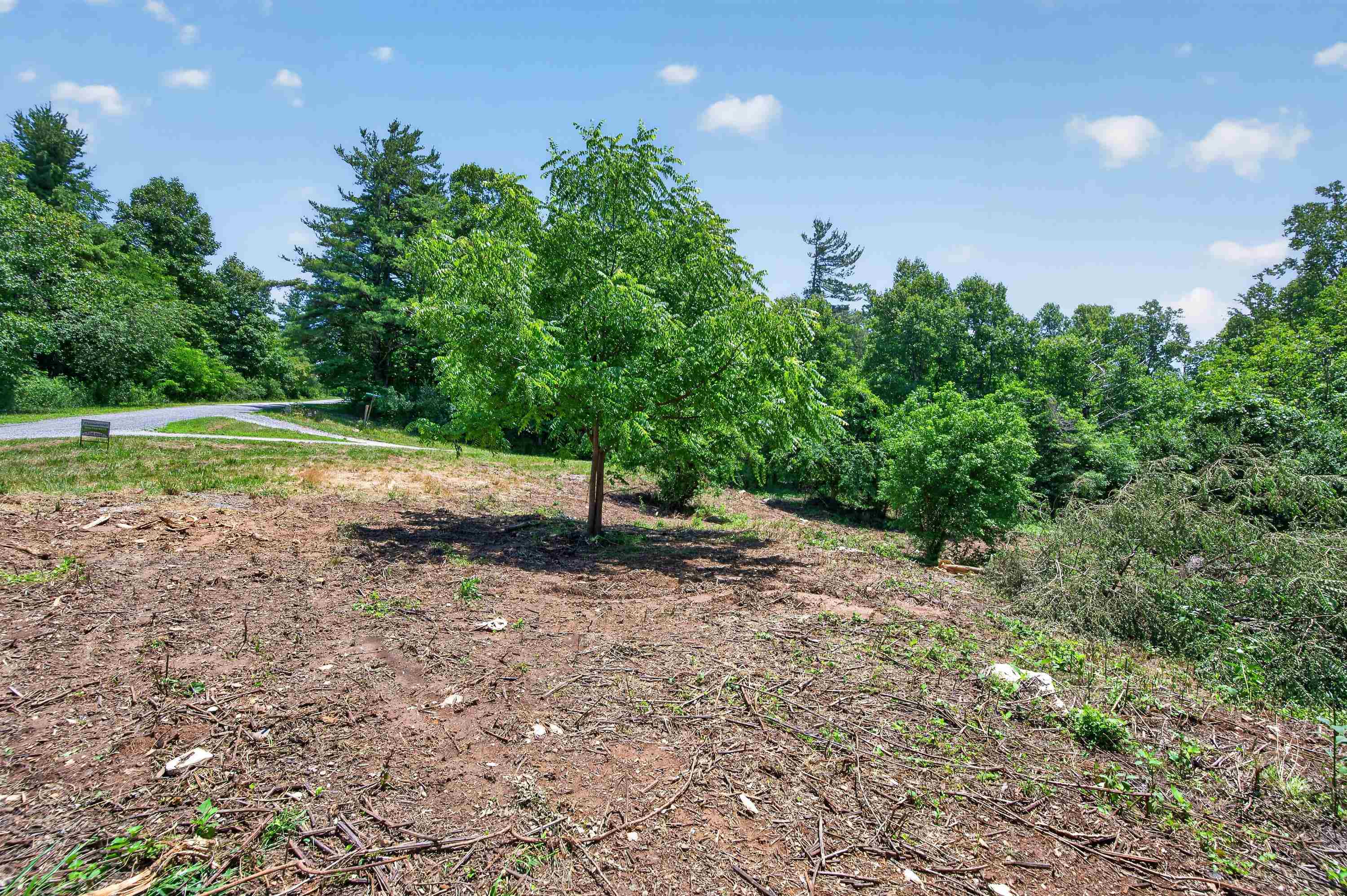 Tbd Ridge Oak, Chestnut Ridge Drive Copper Hill VA 24079