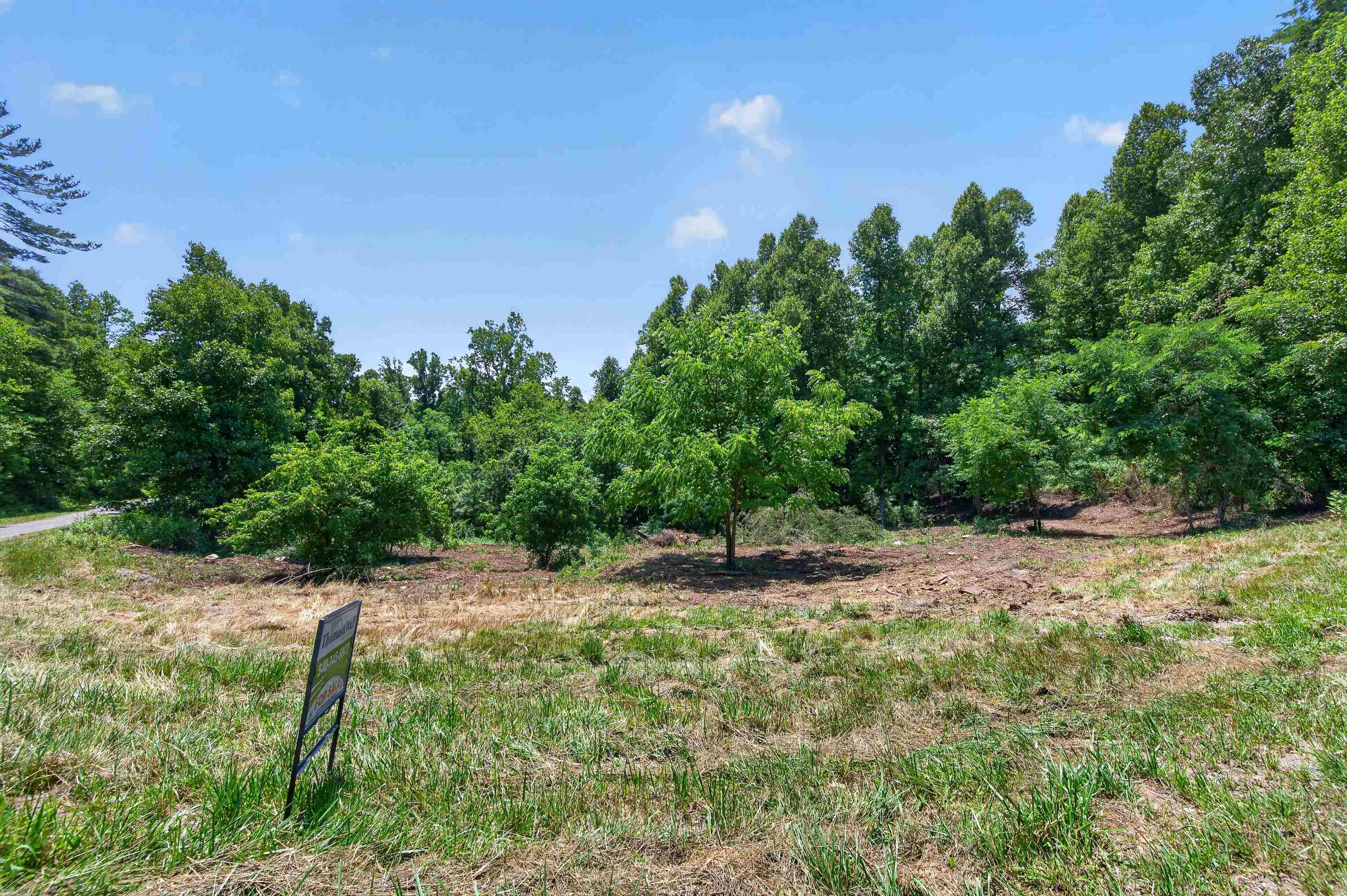 Tbd Ridge Oak, Chestnut Ridge Drive Copper Hill VA 24079