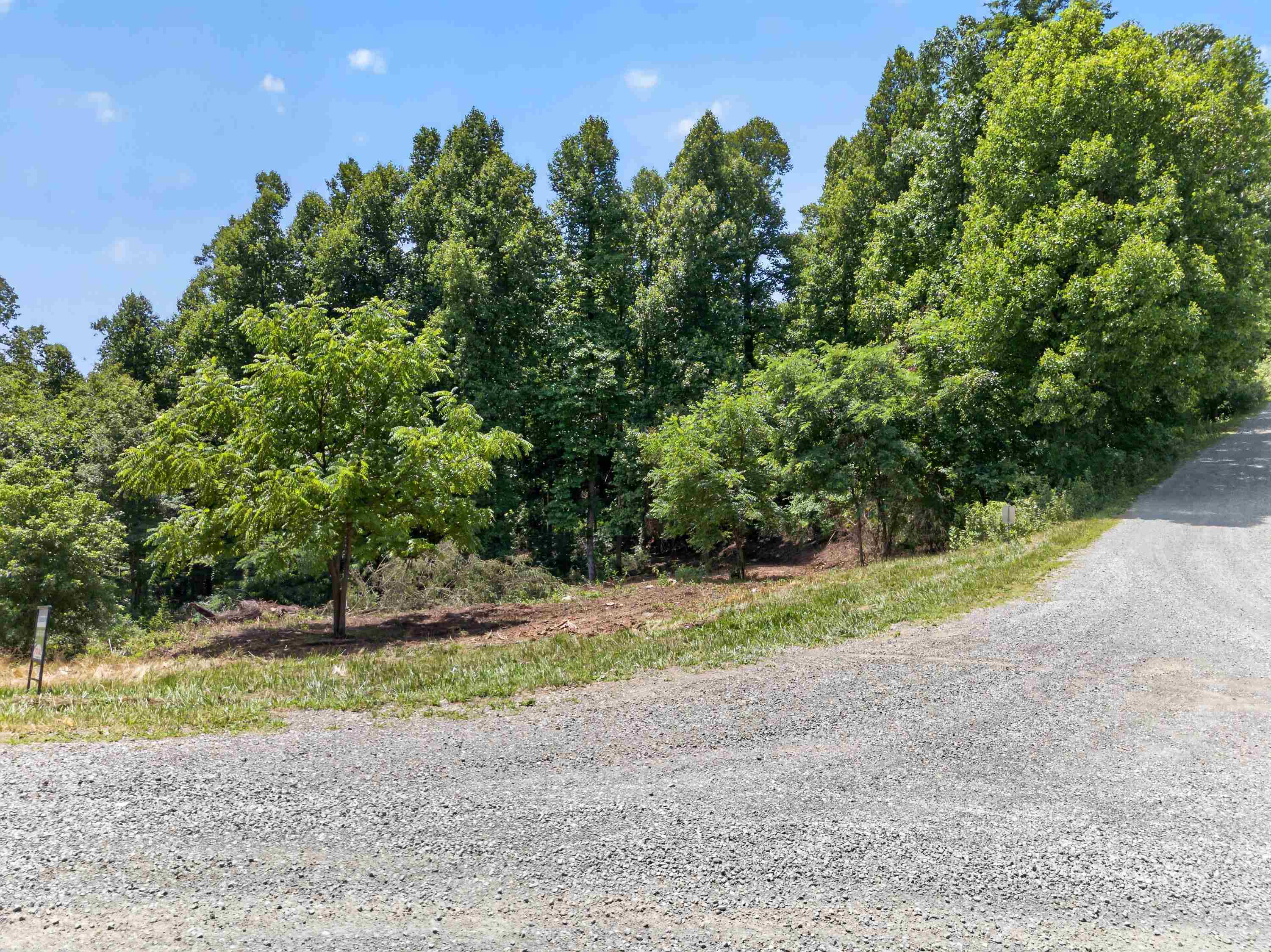 Tbd Ridge Oak, Chestnut Ridge Drive Copper Hill VA 24079