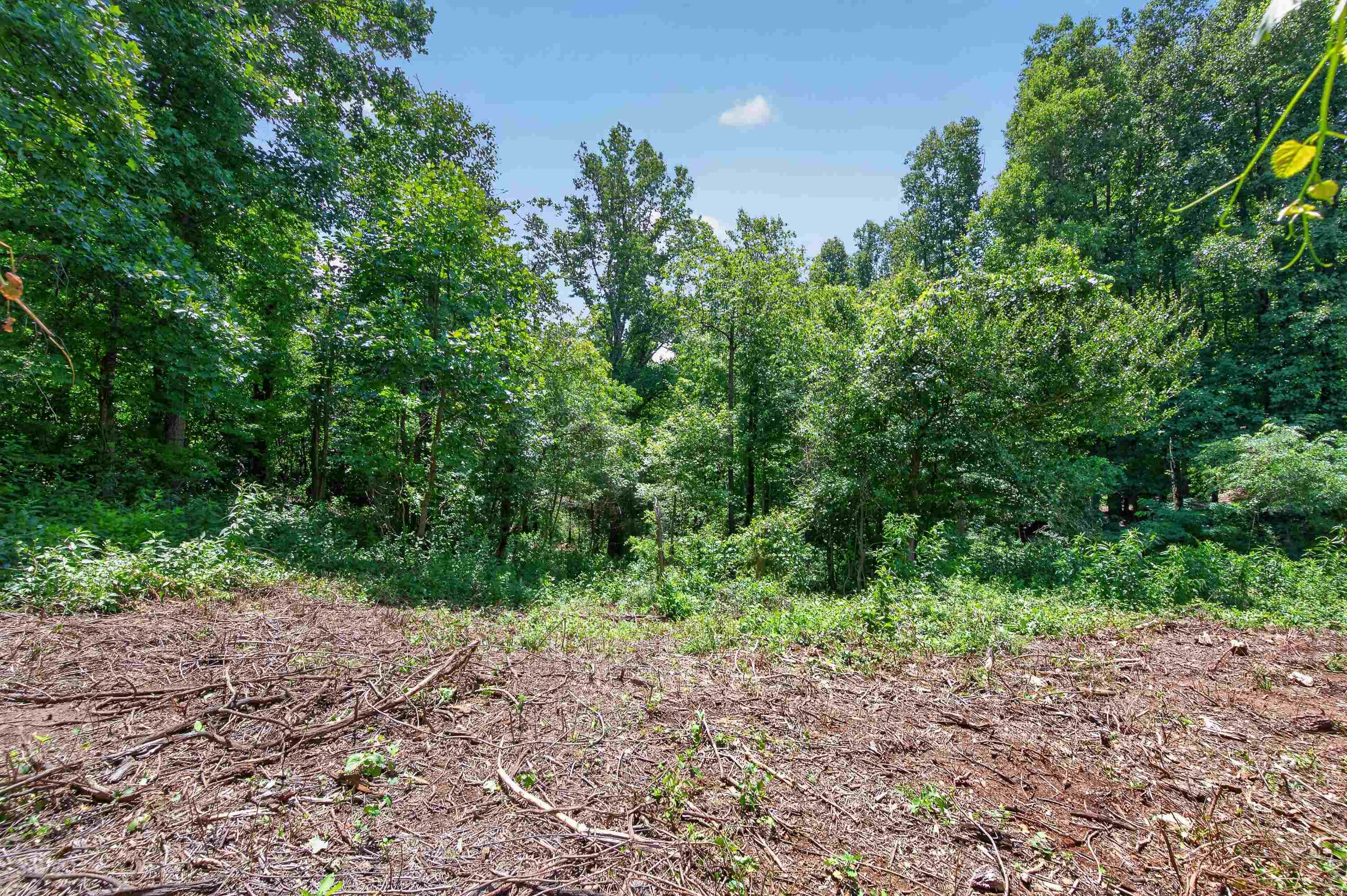 Tbd Ridge Oak, Chestnut Ridge Drive Copper Hill VA 24079