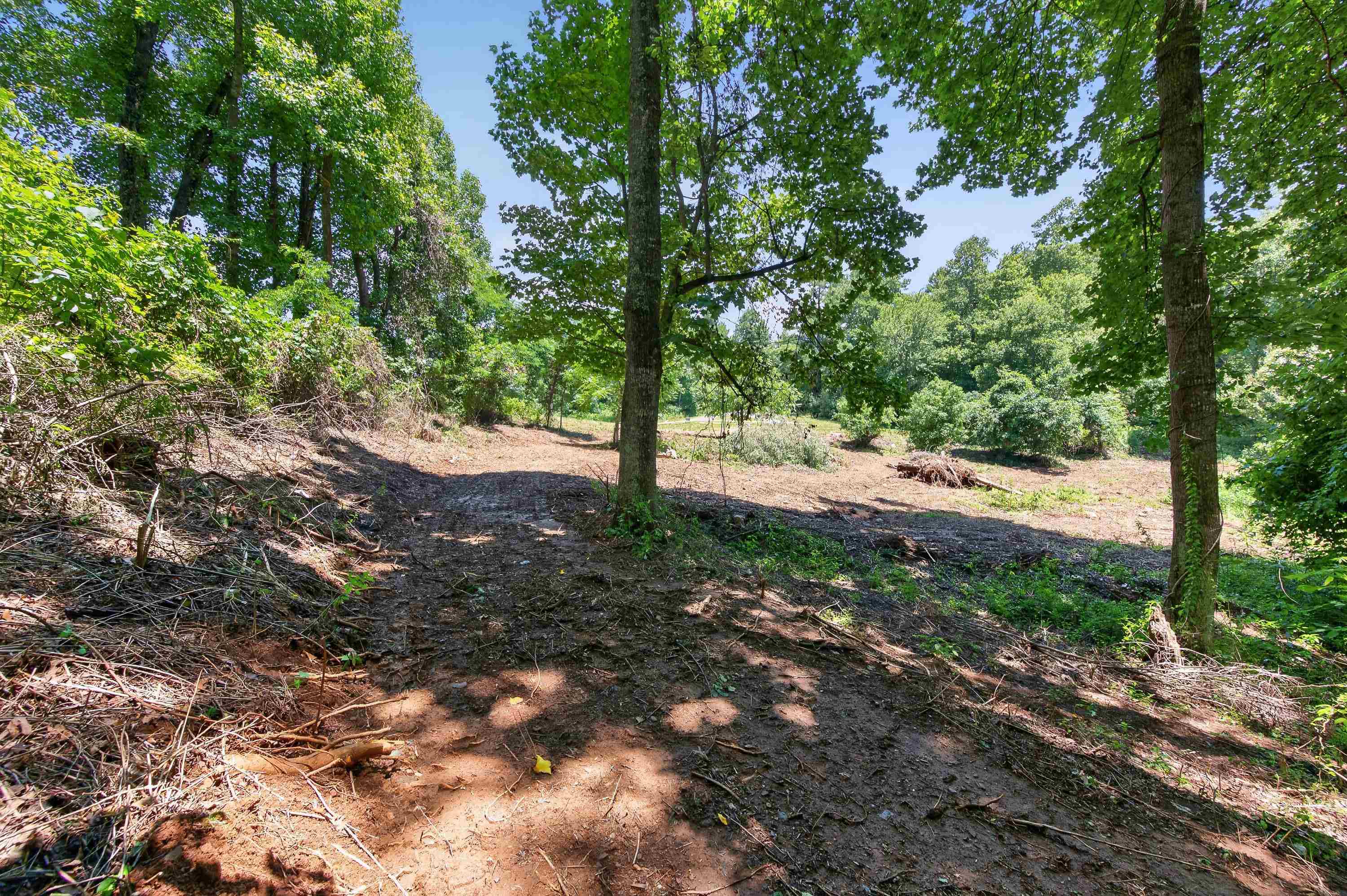 Tbd Ridge Oak, Chestnut Ridge Drive Copper Hill VA 24079