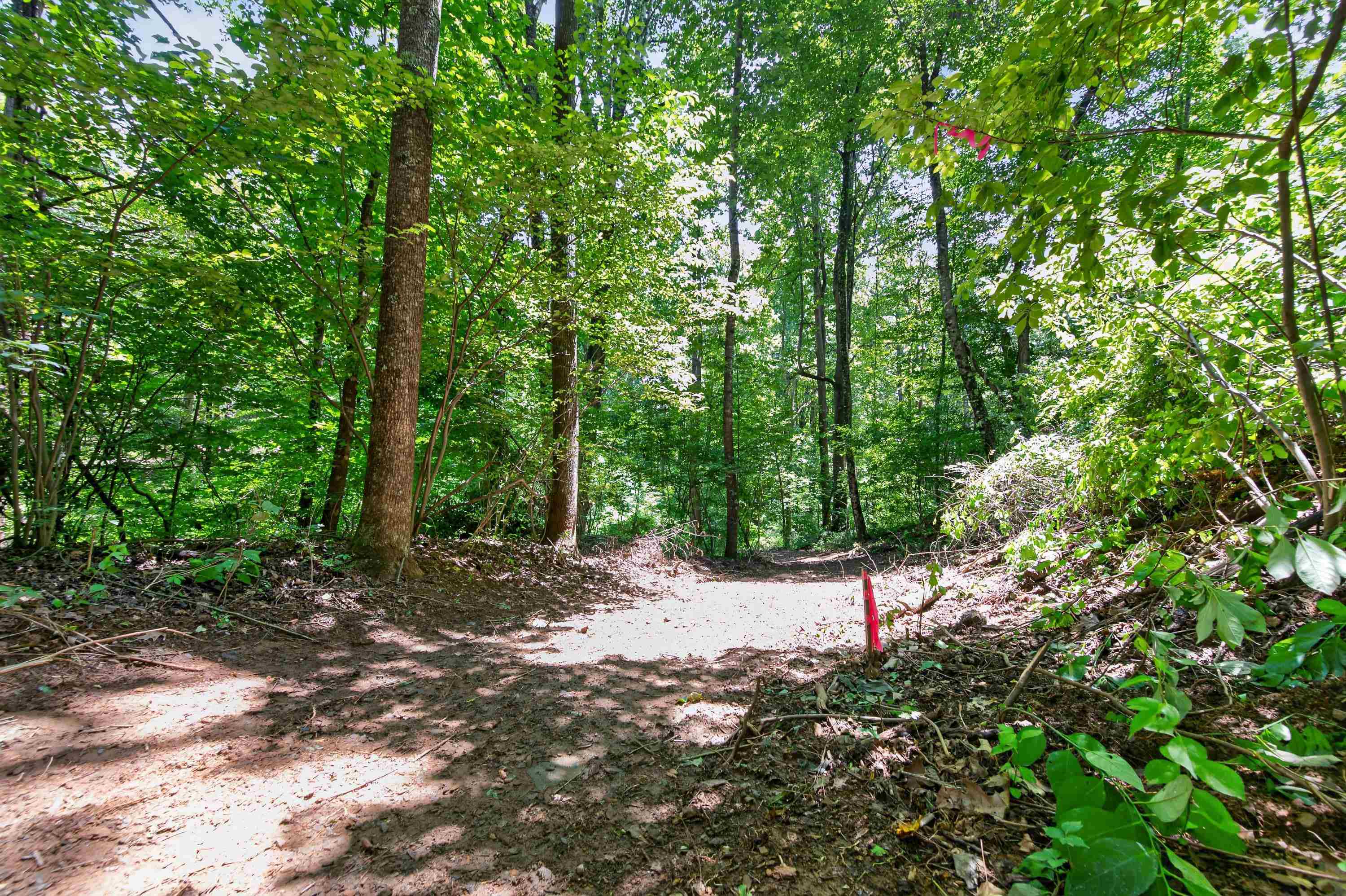 Tbd Ridge Oak, Chestnut Ridge Drive Copper Hill VA 24079