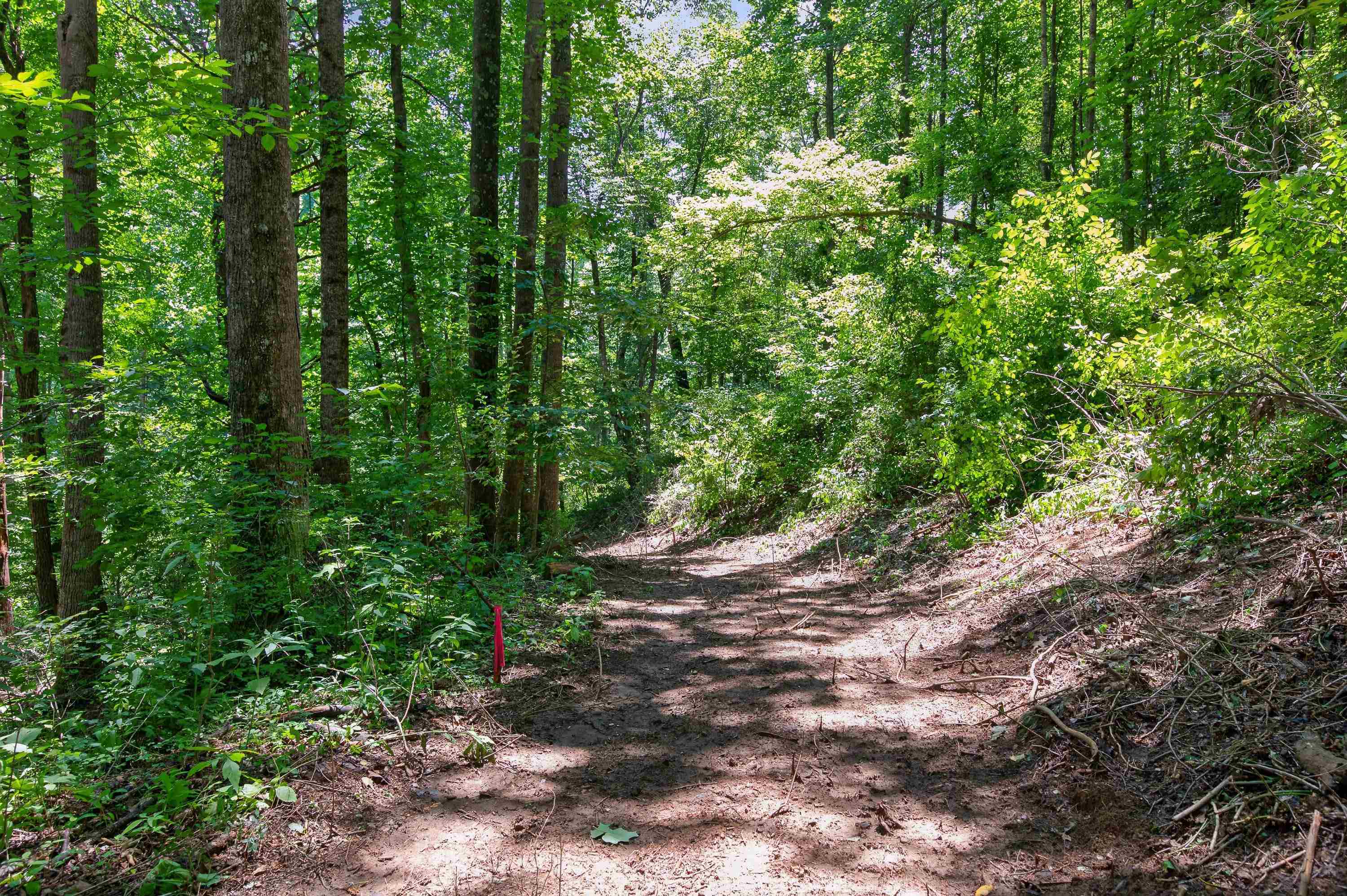 Tbd Ridge Oak, Chestnut Ridge Drive Copper Hill VA 24079