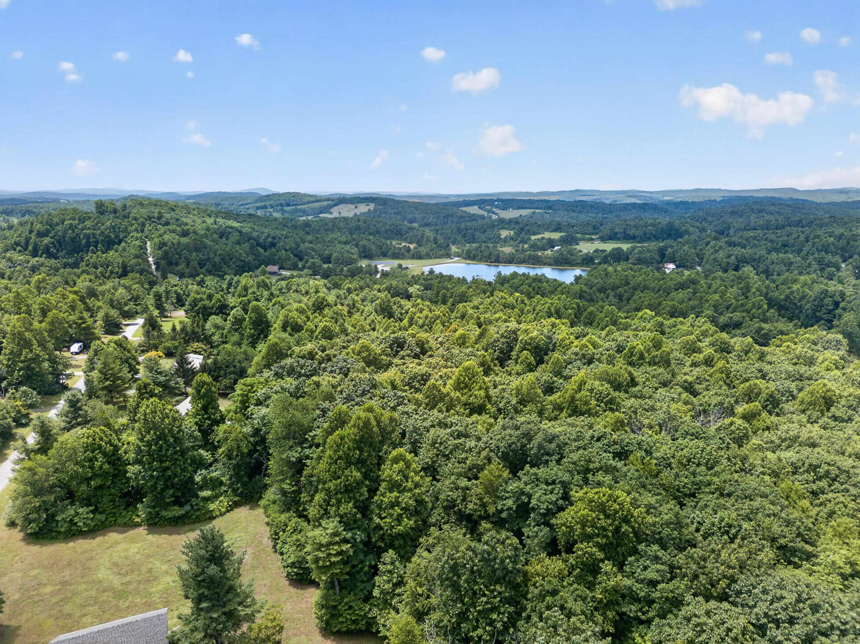 Tbd Ridge Oak, Chestnut Ridge Drive Copper Hill VA 24079