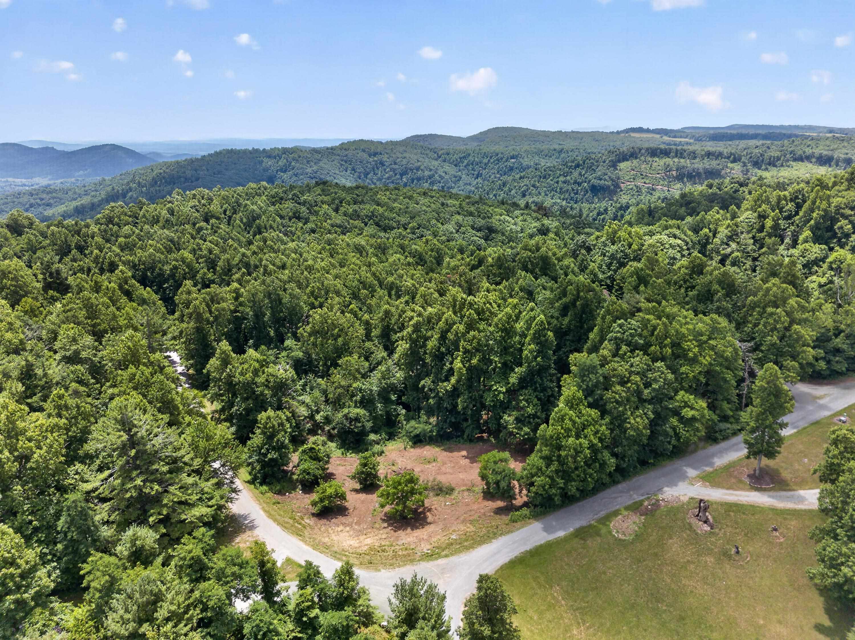 Tbd Ridge Oak, Chestnut Ridge Drive Copper Hill VA 24079