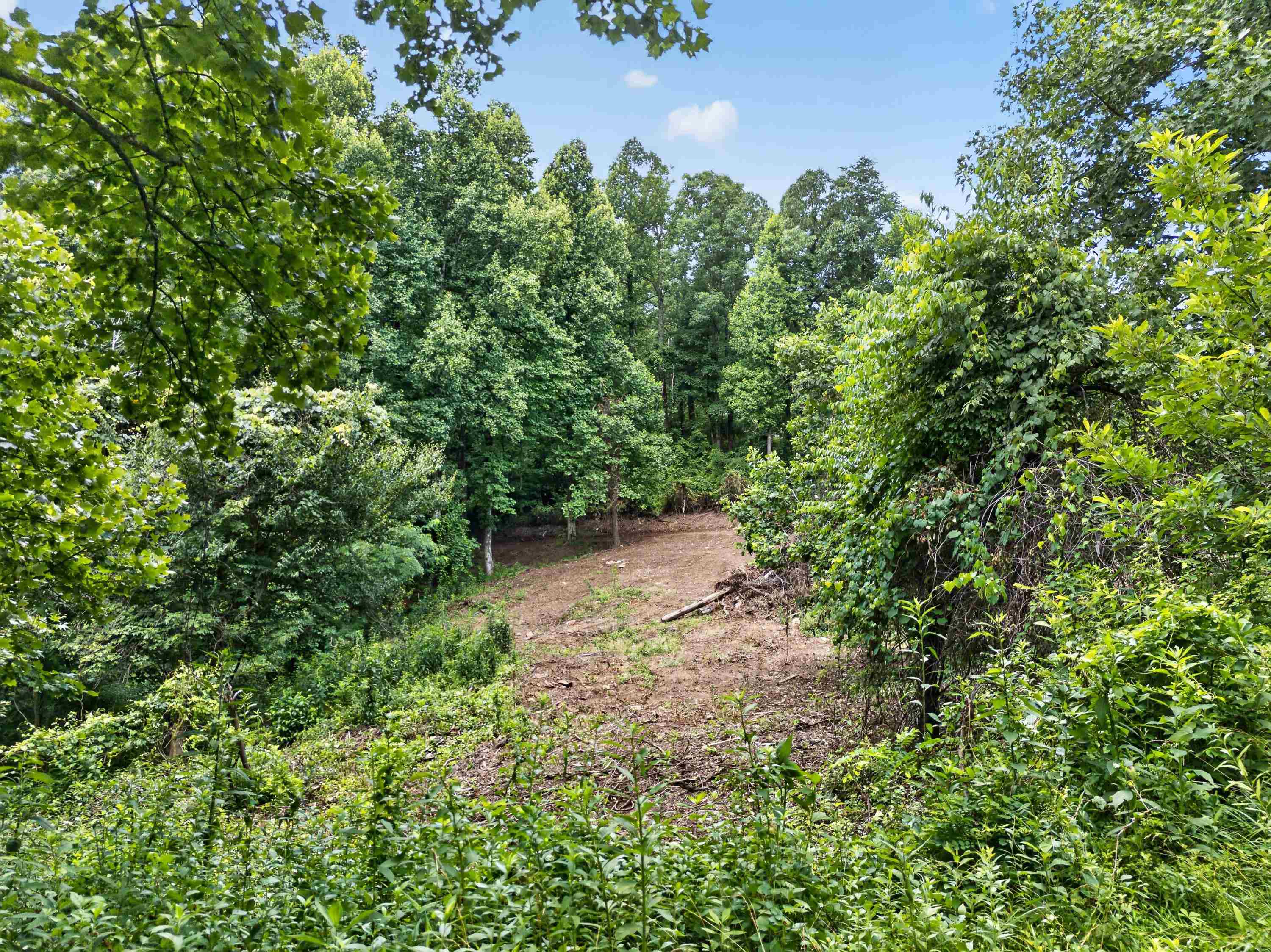 Tbd Ridge Oak, Chestnut Ridge Drive Copper Hill VA 24079
