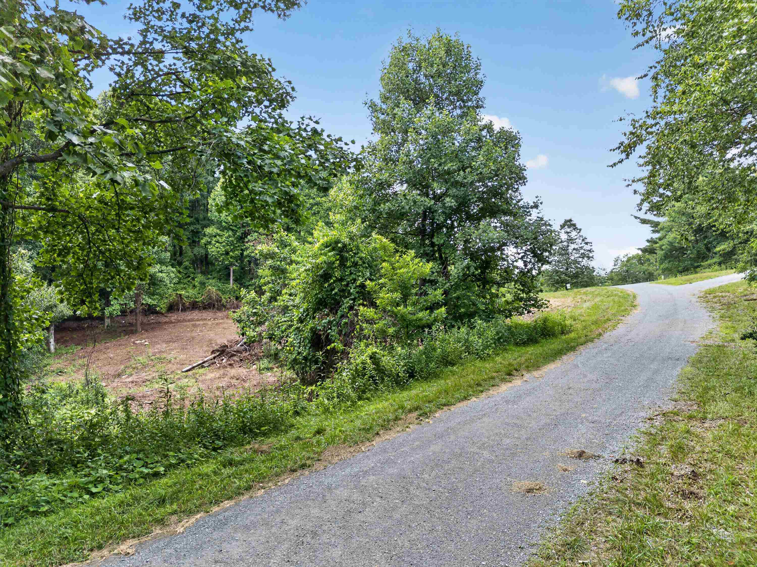 Tbd Ridge Oak, Chestnut Ridge Drive Copper Hill VA 24079