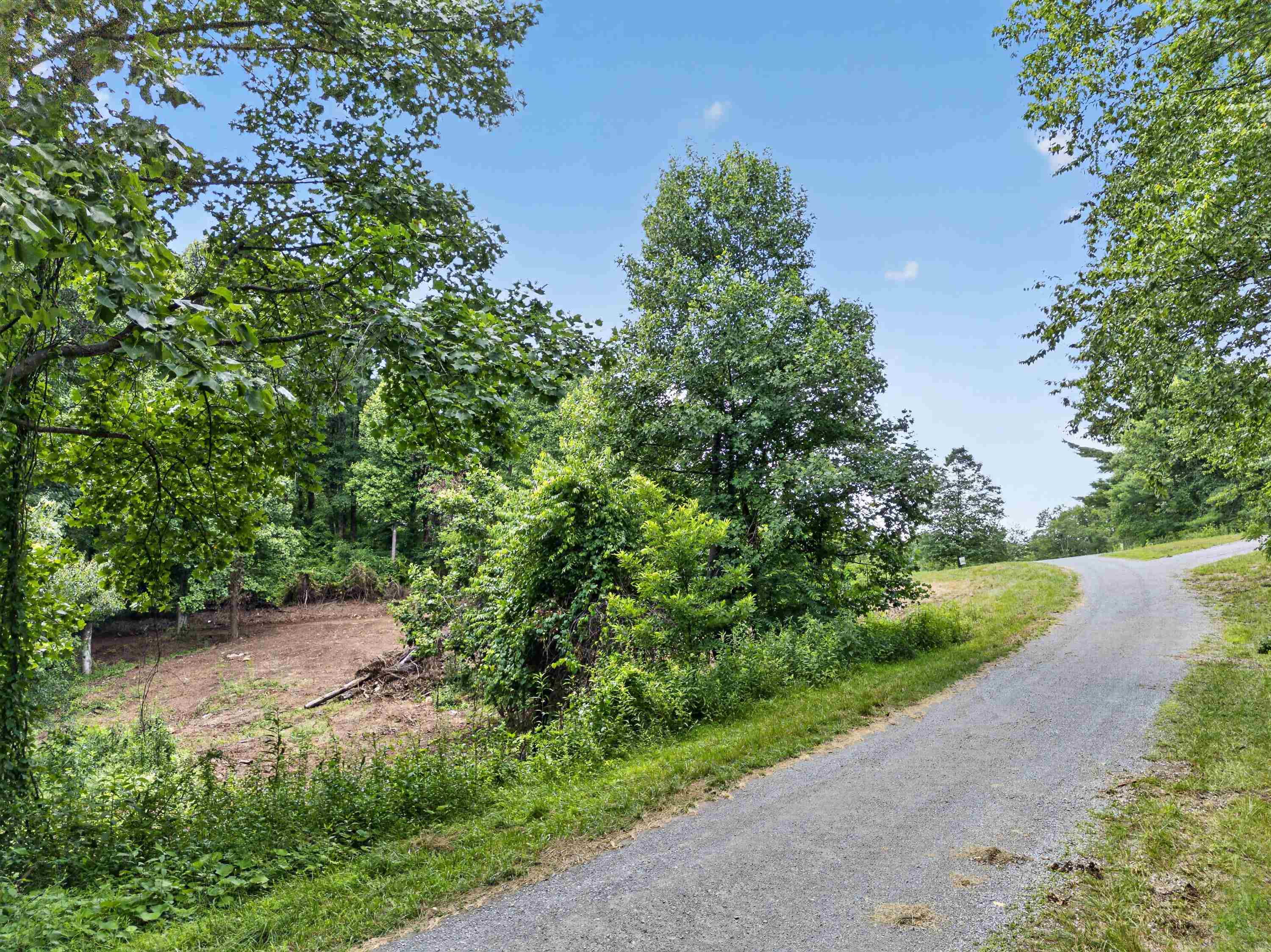 Tbd Ridge Oak, Chestnut Ridge Drive Copper Hill VA 24079