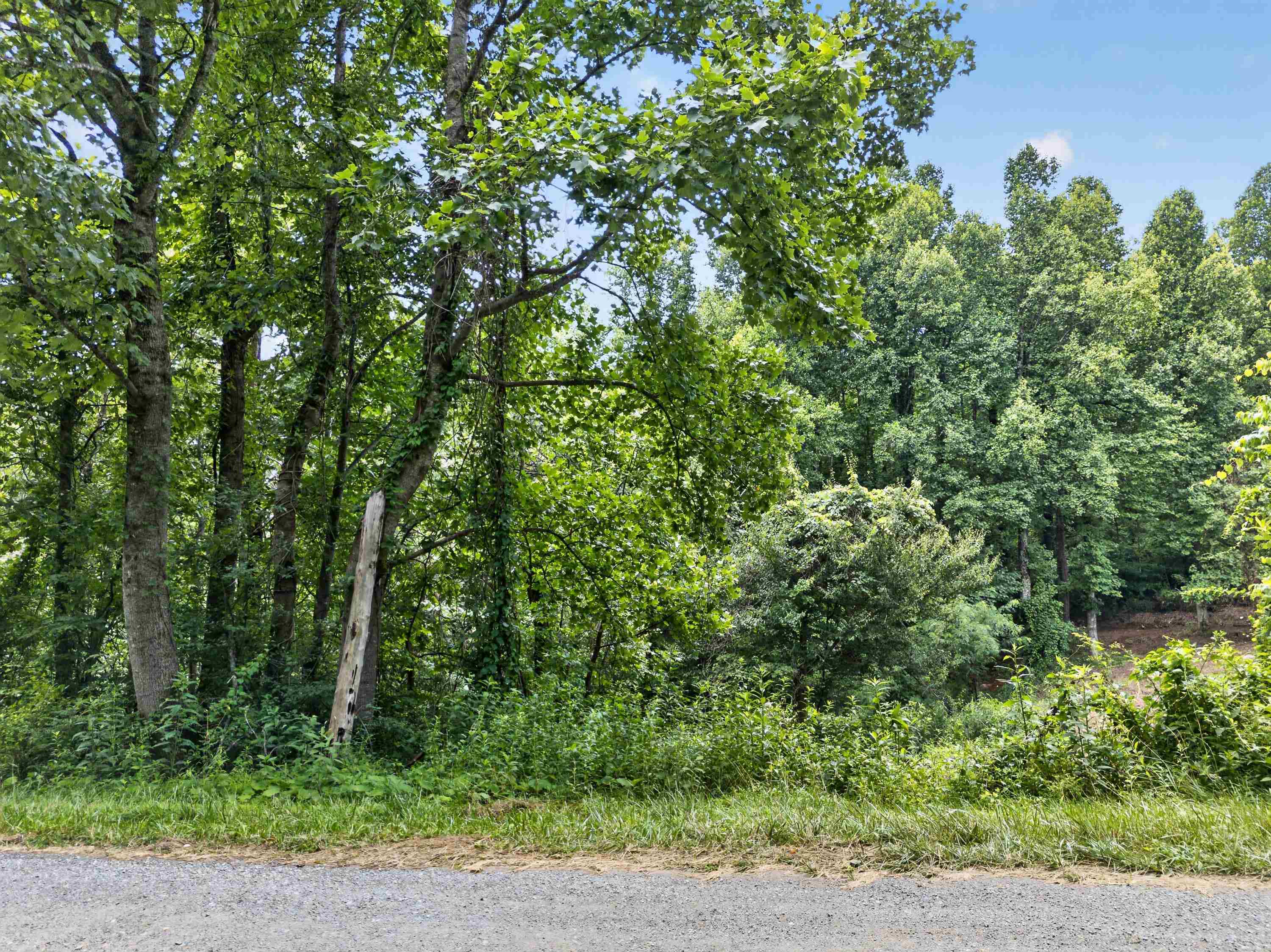 Tbd Ridge Oak, Chestnut Ridge Drive Copper Hill VA 24079