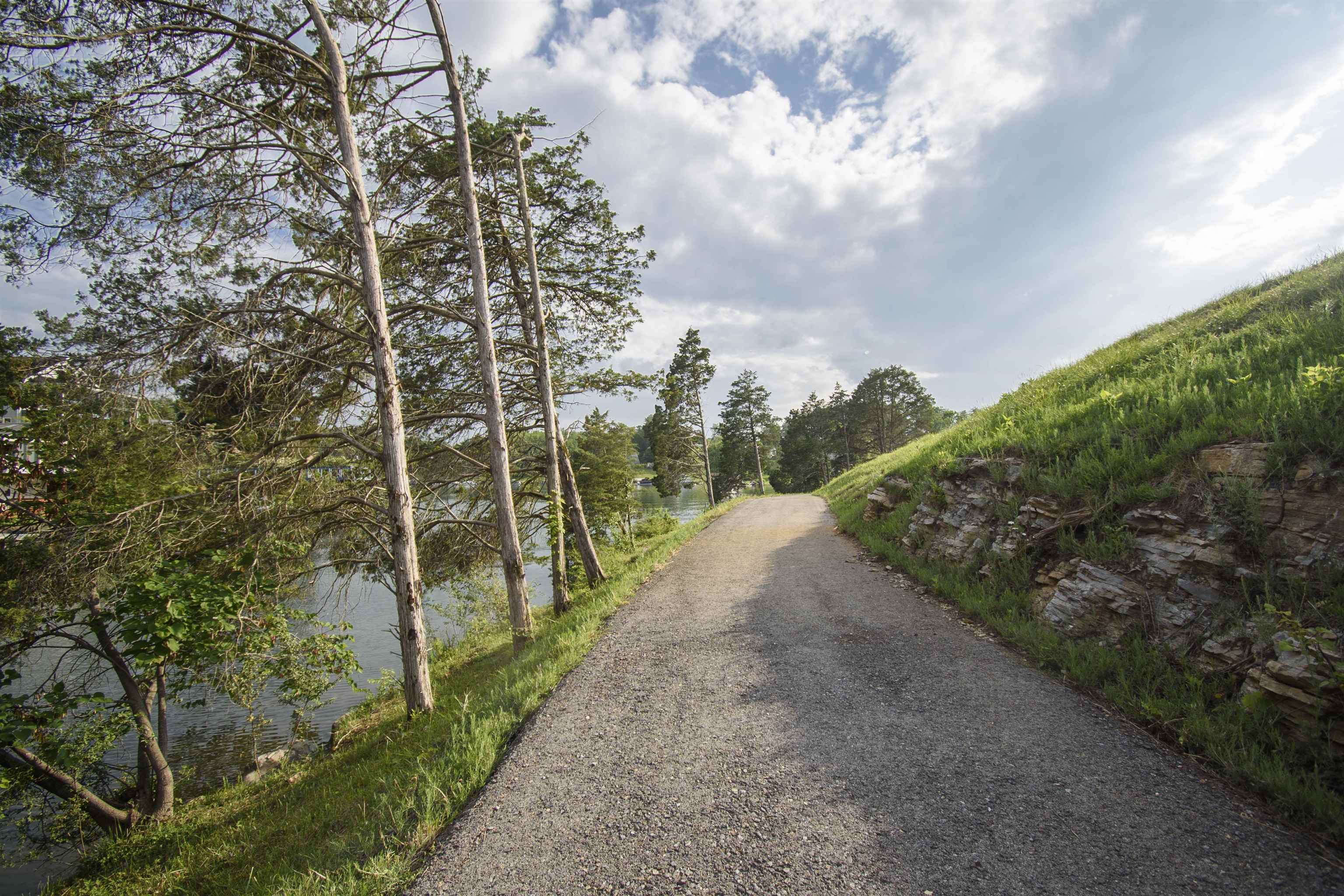 Tbd Tanager Lot 10 Cove Dublin VA 24084