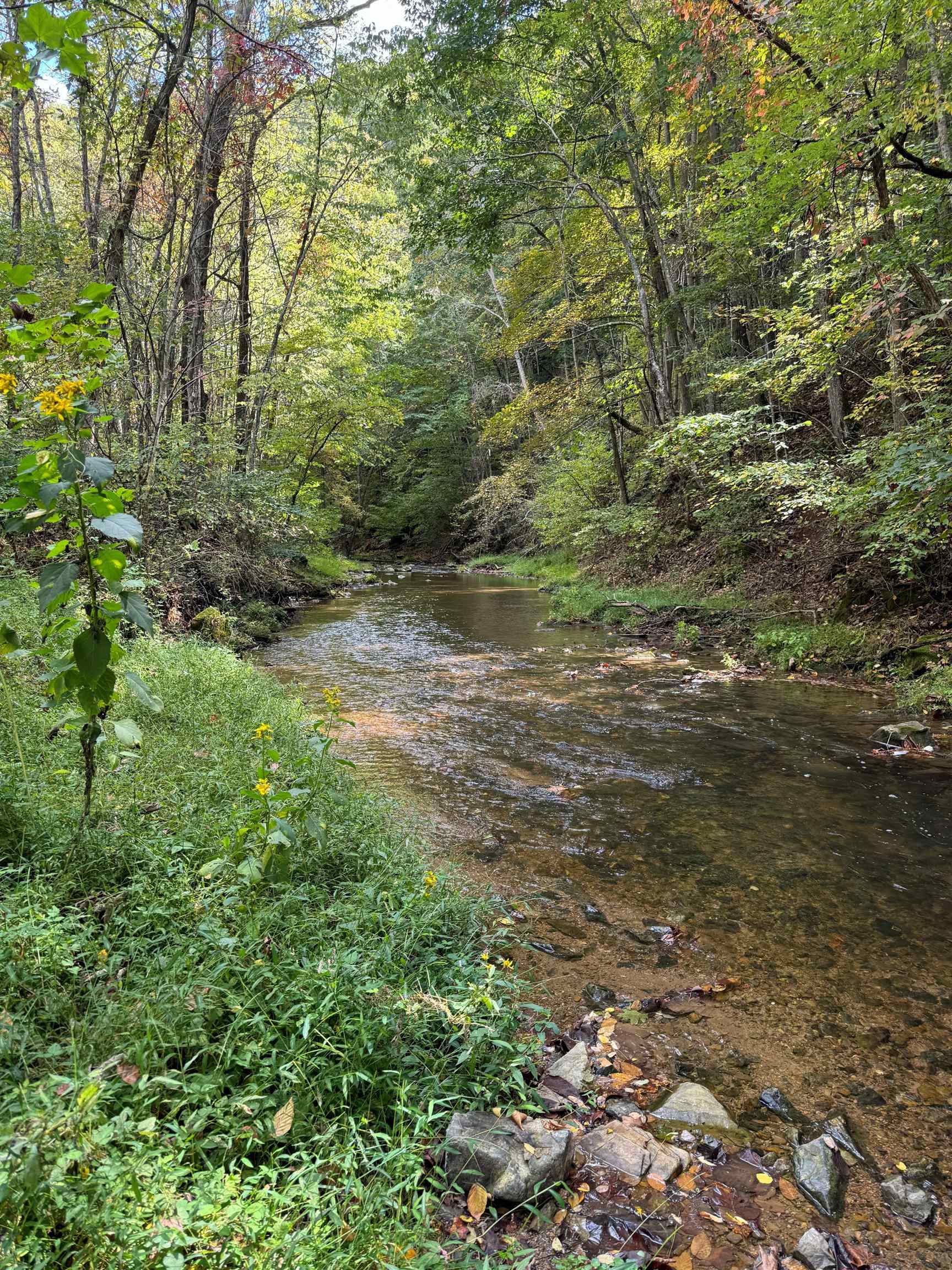 Tbd Elliott Creek Road Christiansburg VA 24073