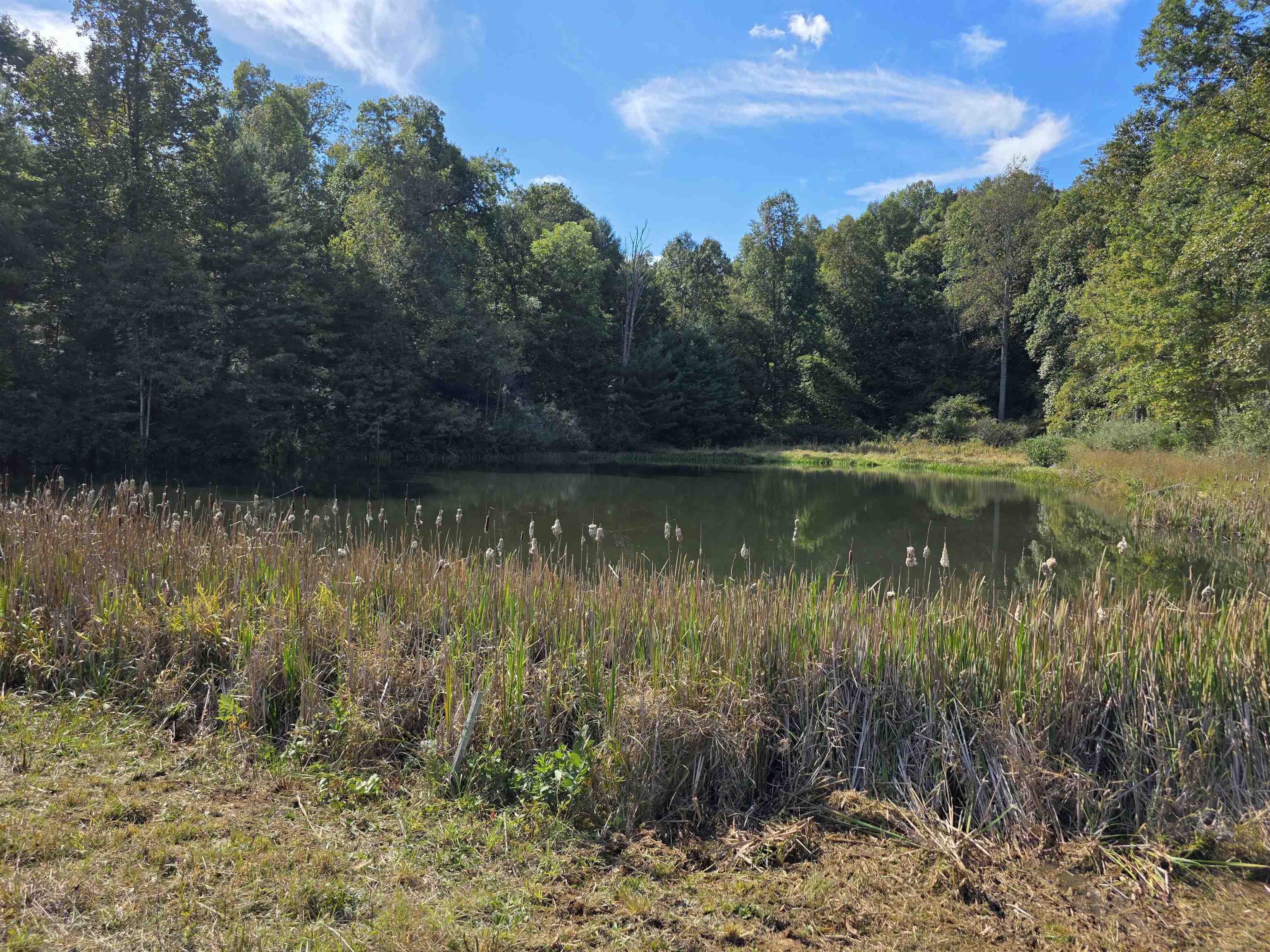 Tbd Ferney Creek Road Willis VA 24380