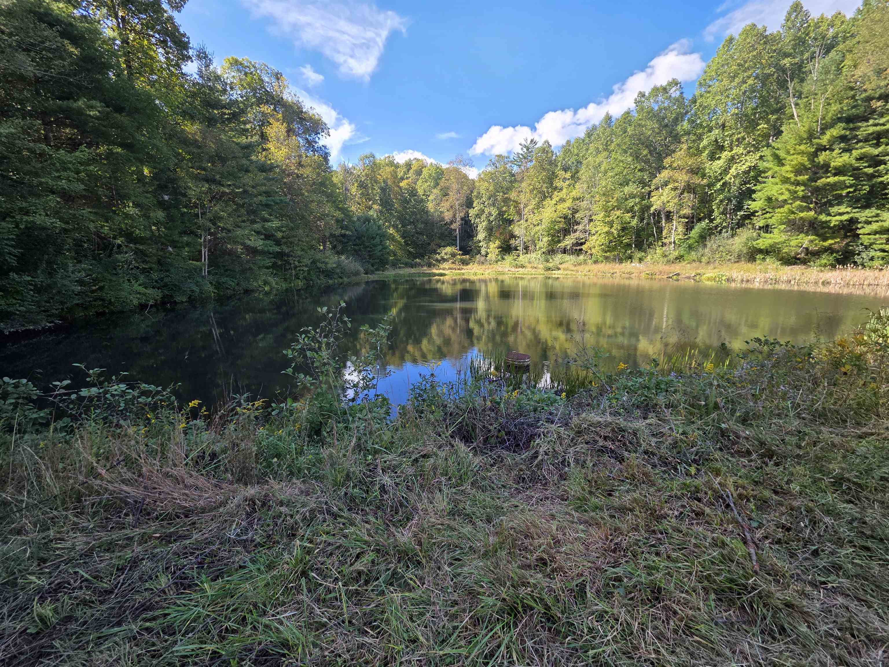 Tbd Ferney Creek Road Willis VA 24380