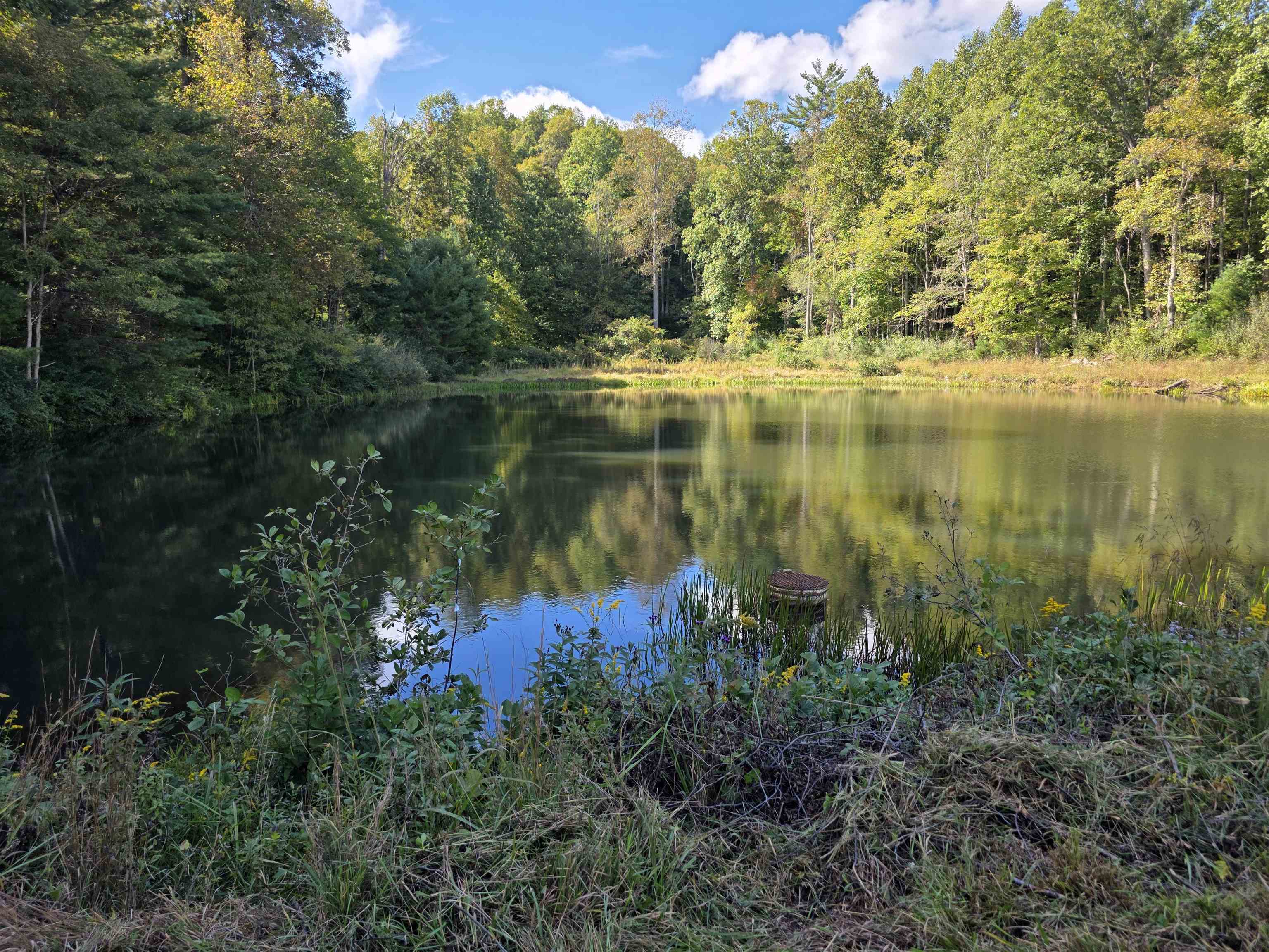 Tbd Ferney Creek Road Willis VA 24380
