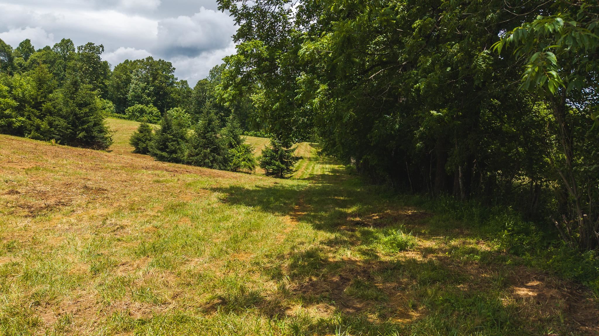 Tbd Ferney Creek Road Willis VA 24380
