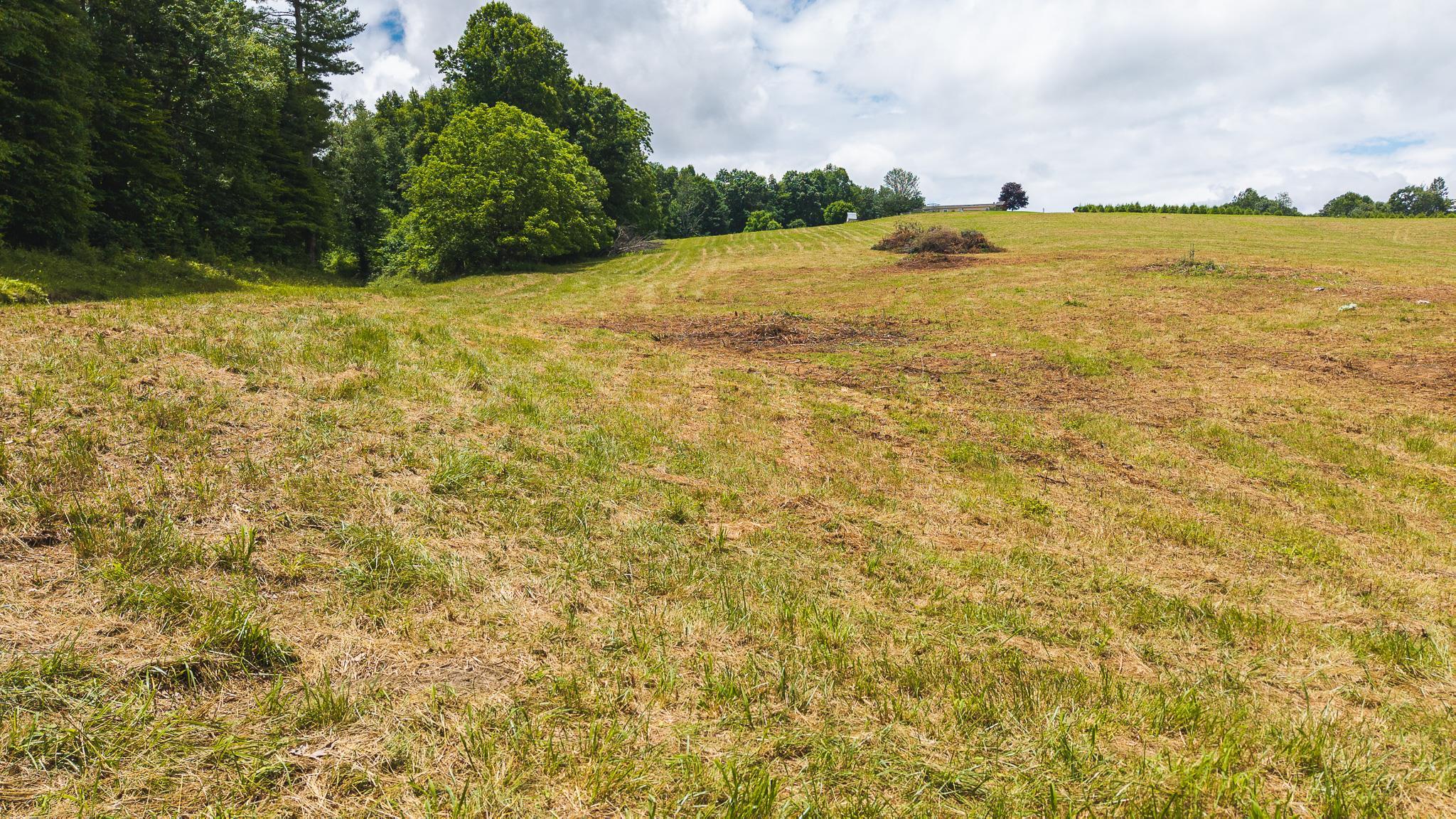 Tbd Ferney Creek Road Willis VA 24380