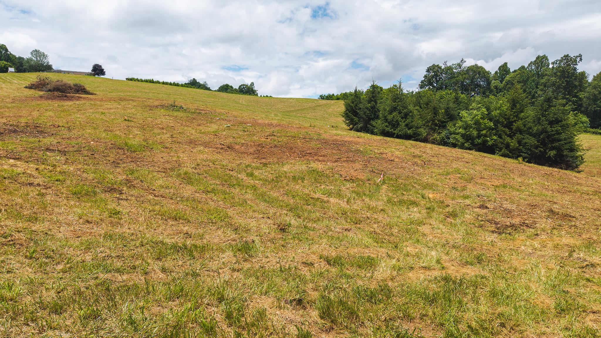 Tbd Ferney Creek Road Willis VA 24380