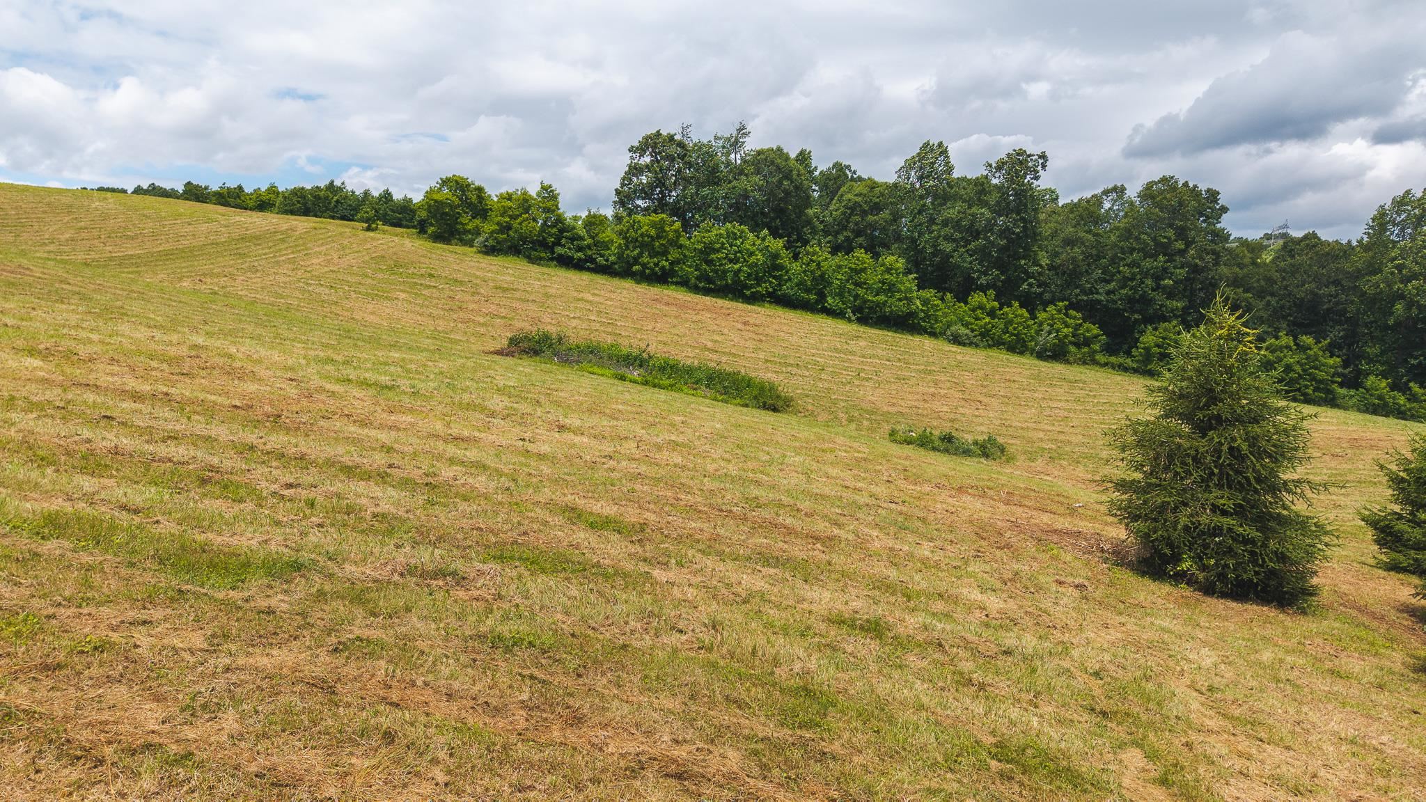 Tbd Ferney Creek Road Willis VA 24380