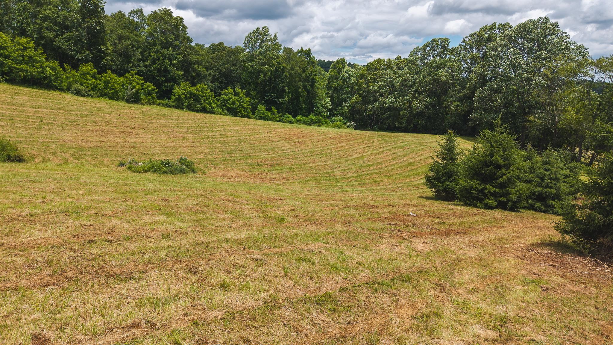 Tbd Ferney Creek Road Willis VA 24380