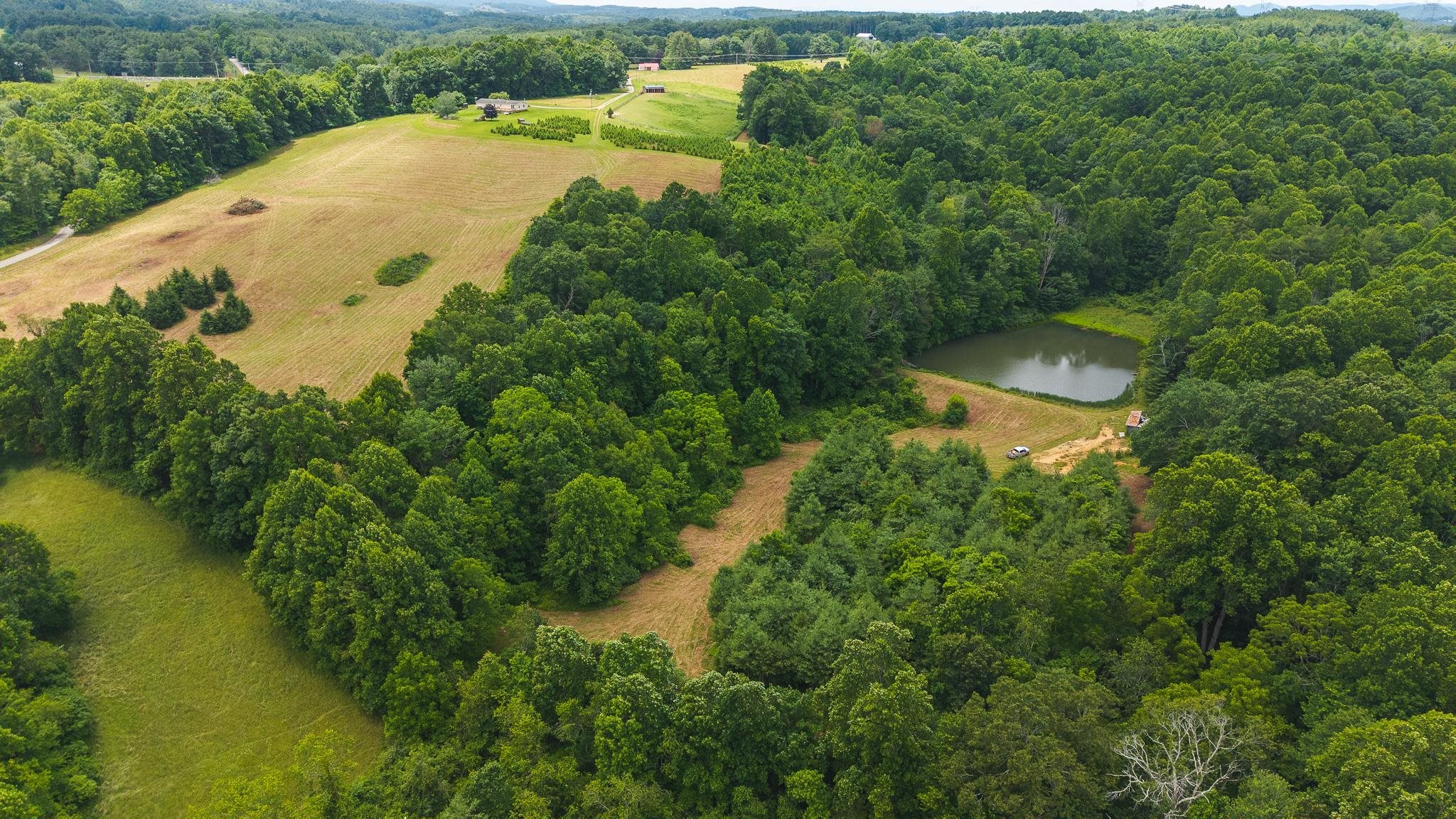 Tbd Ferney Creek Road Willis VA 24380