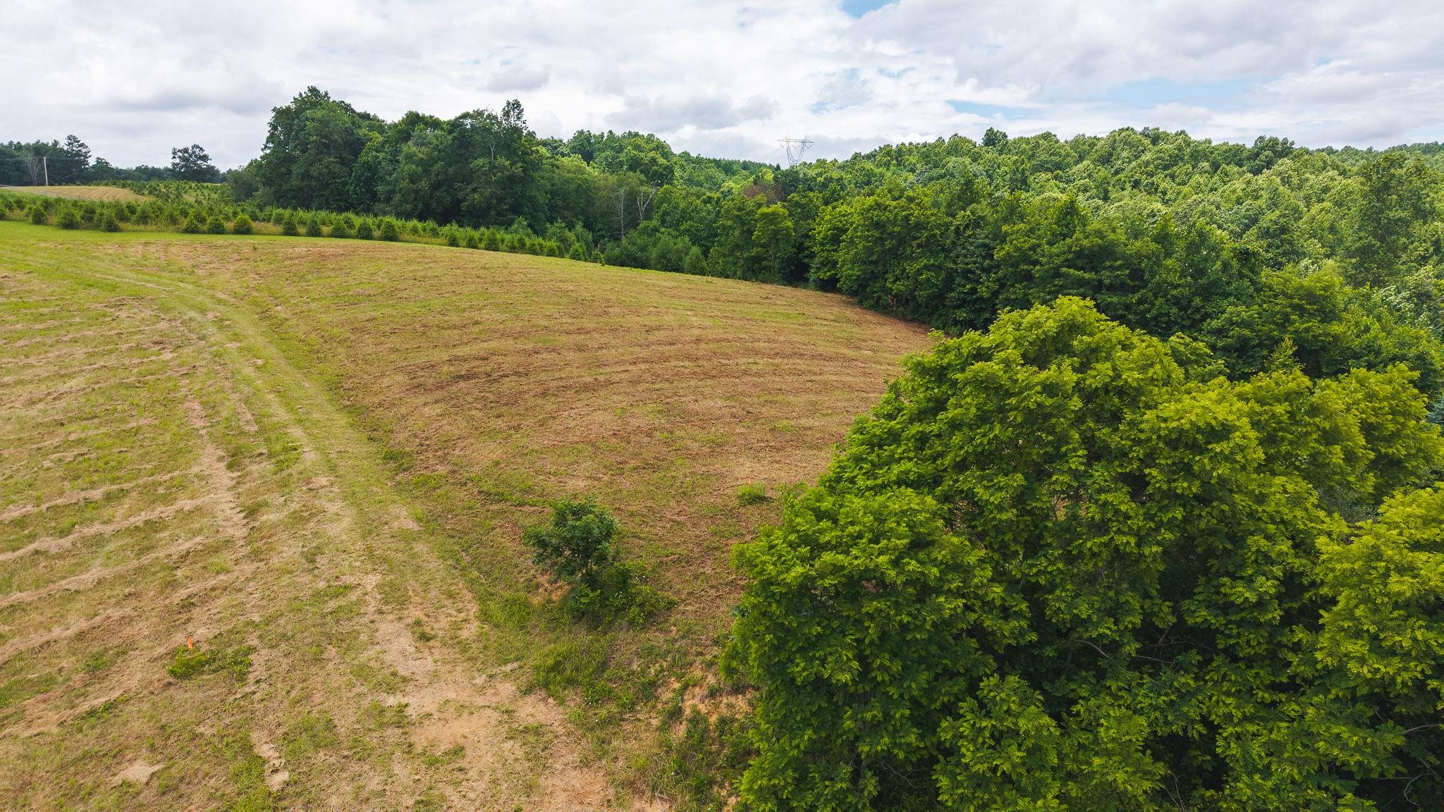 Tbd Ferney Creek Road Willis VA 24380