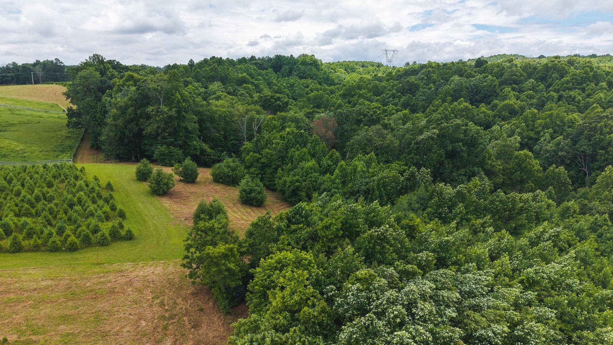 Tbd Ferney Creek Road Willis VA 24380