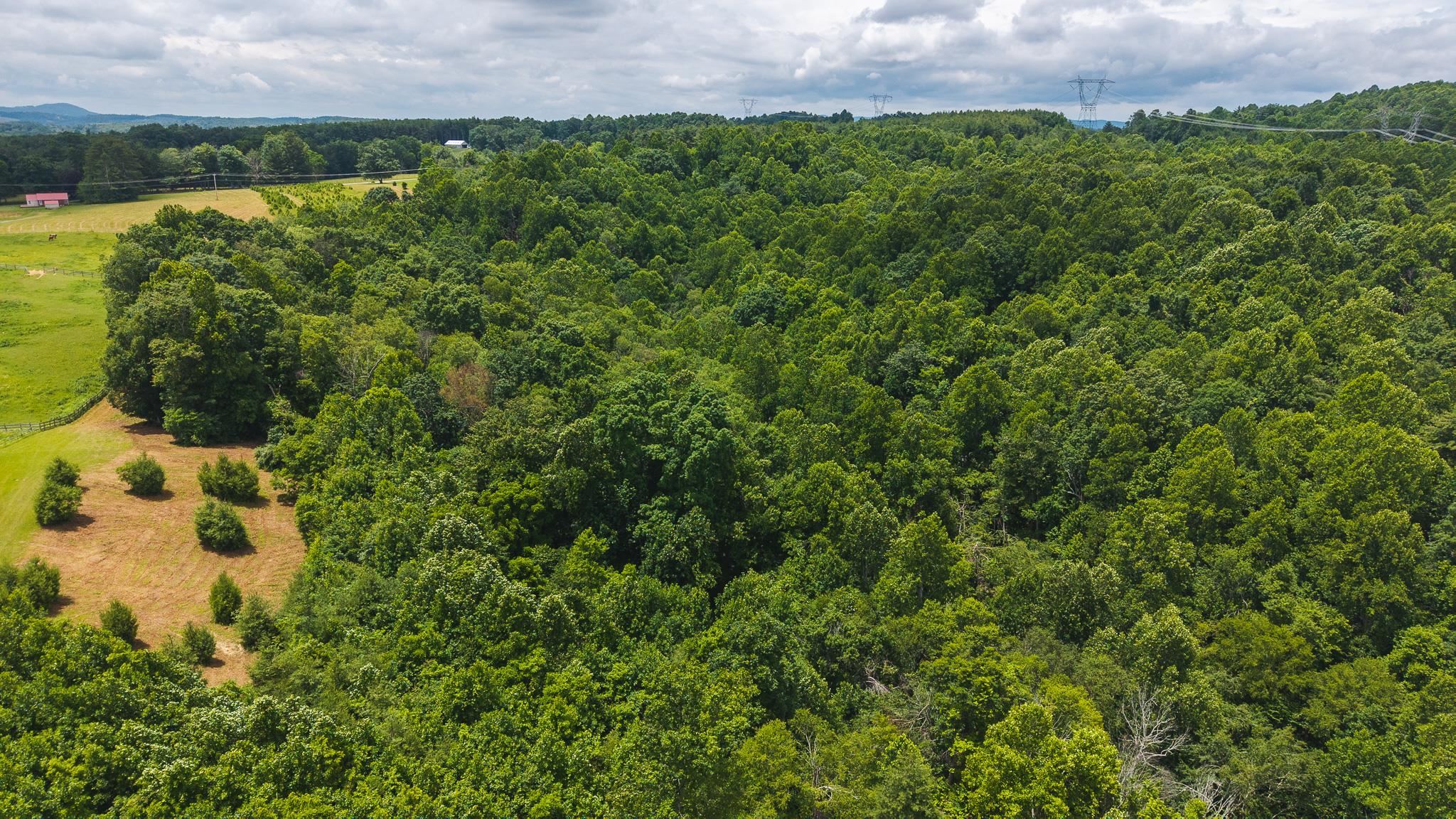 Tbd Ferney Creek Road Willis VA 24380