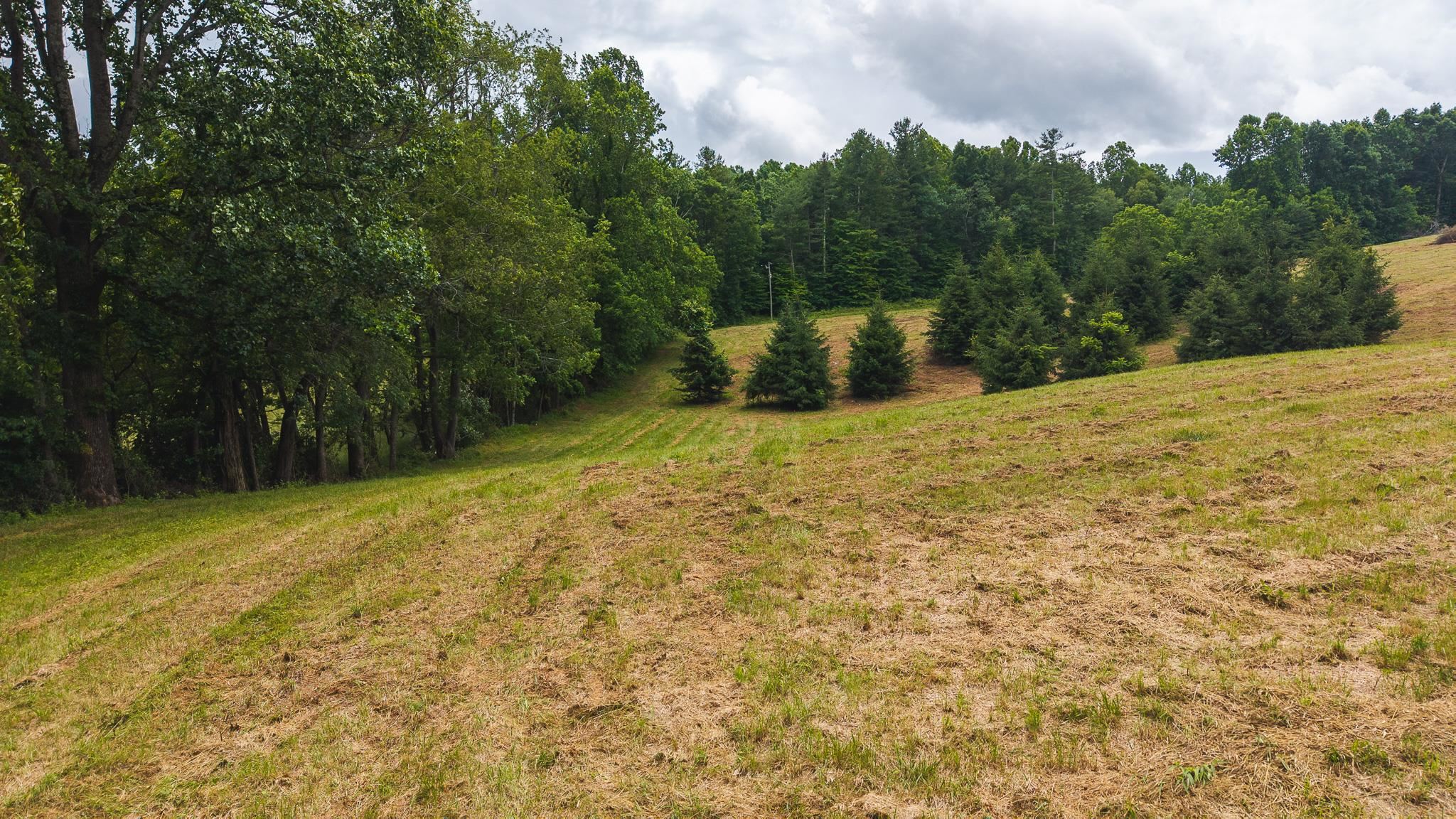 Tbd Ferney Creek Road Willis VA 24380
