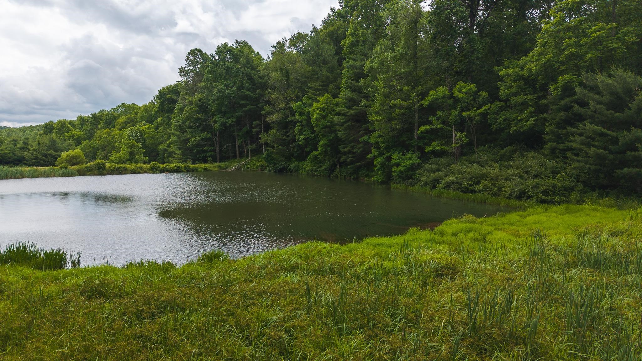 Tbd Ferney Creek Road Willis VA 24380