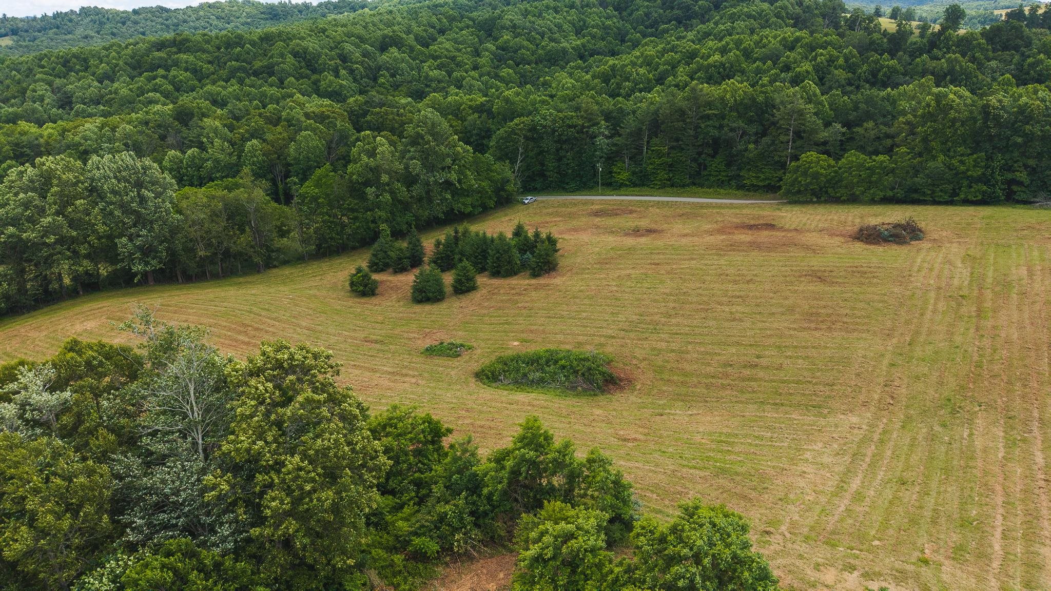 Tbd Ferney Creek Road Willis VA 24380