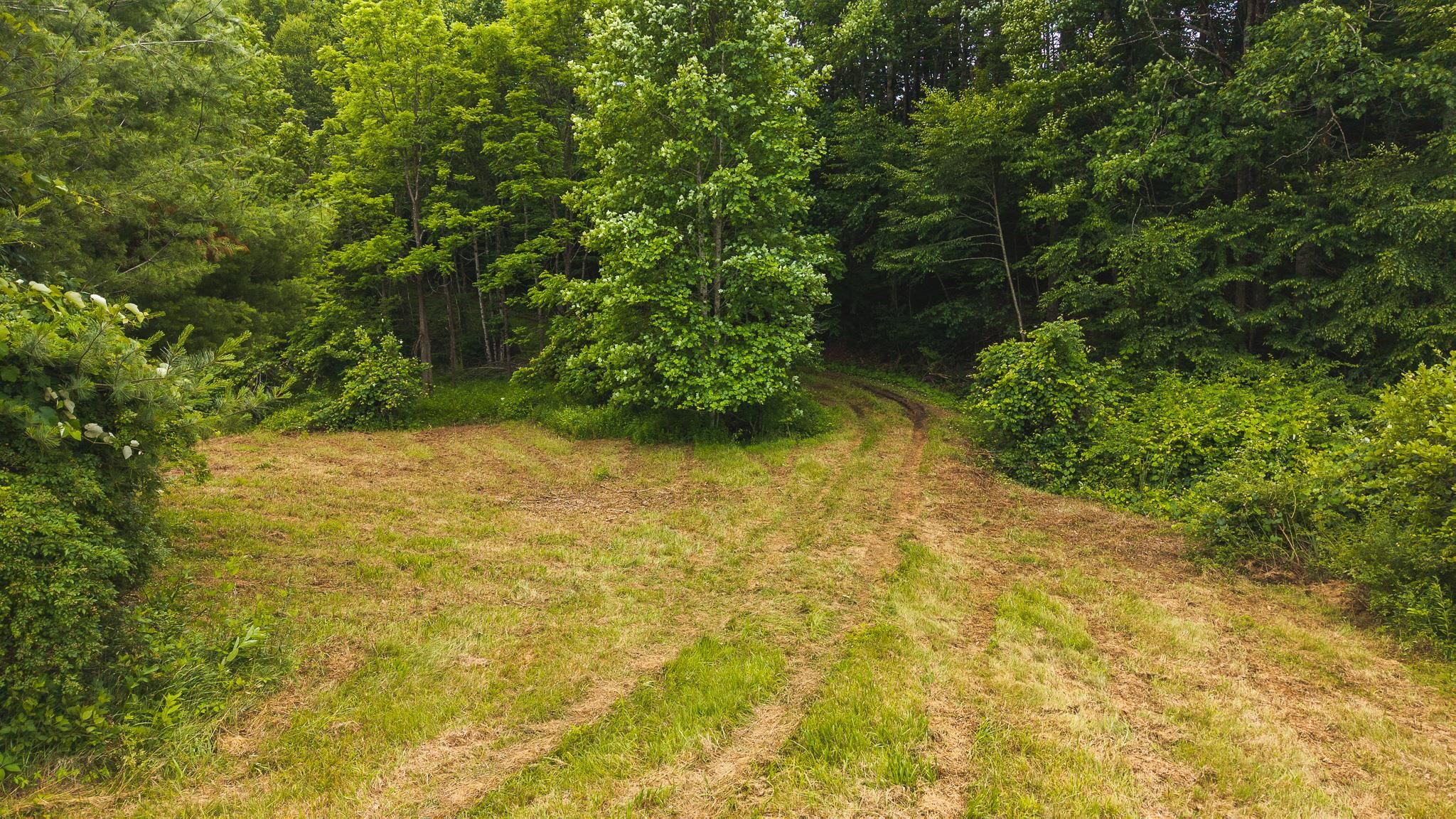 Tbd Ferney Creek Road Willis VA 24380