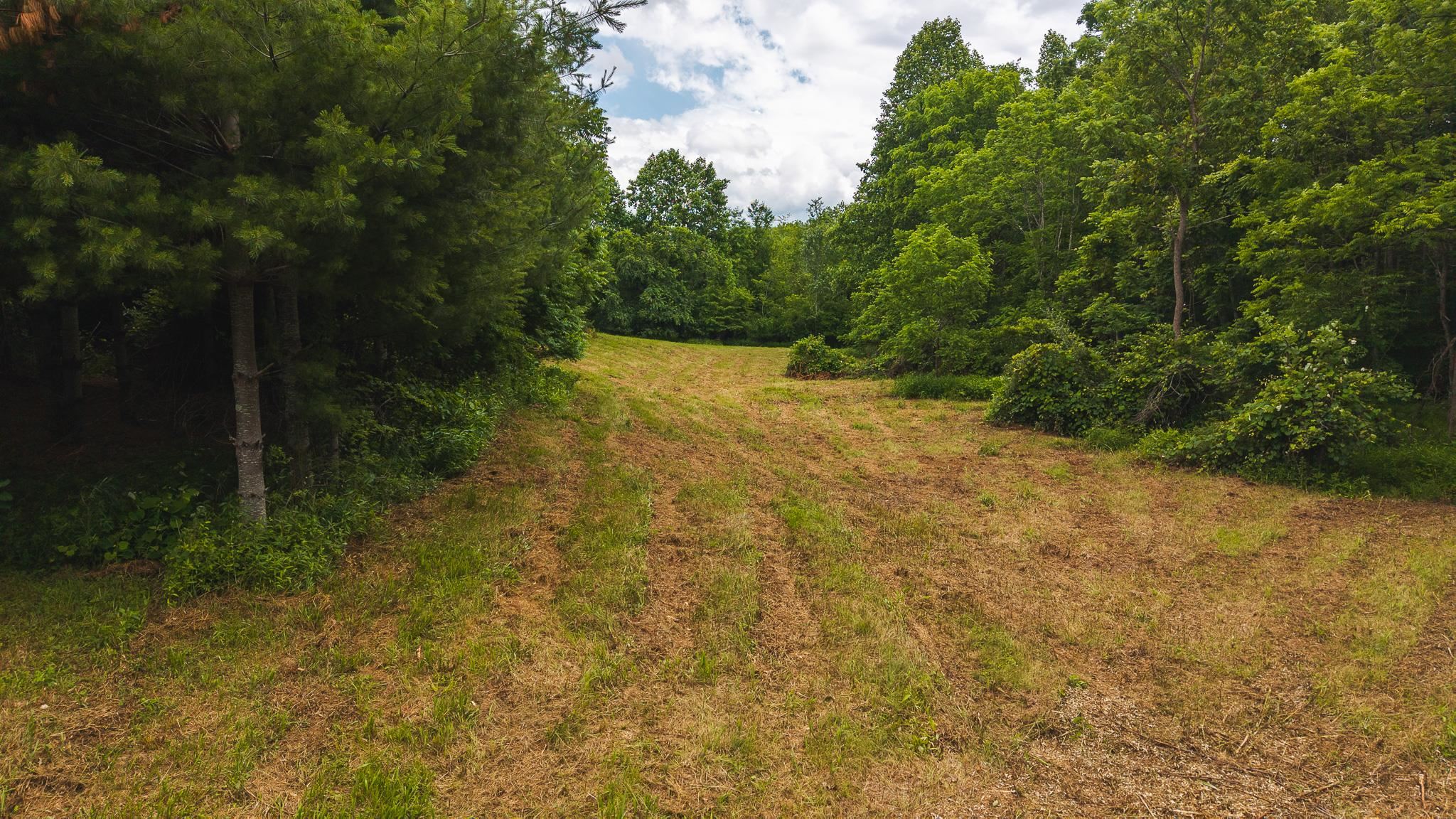 Tbd Ferney Creek Road Willis VA 24380