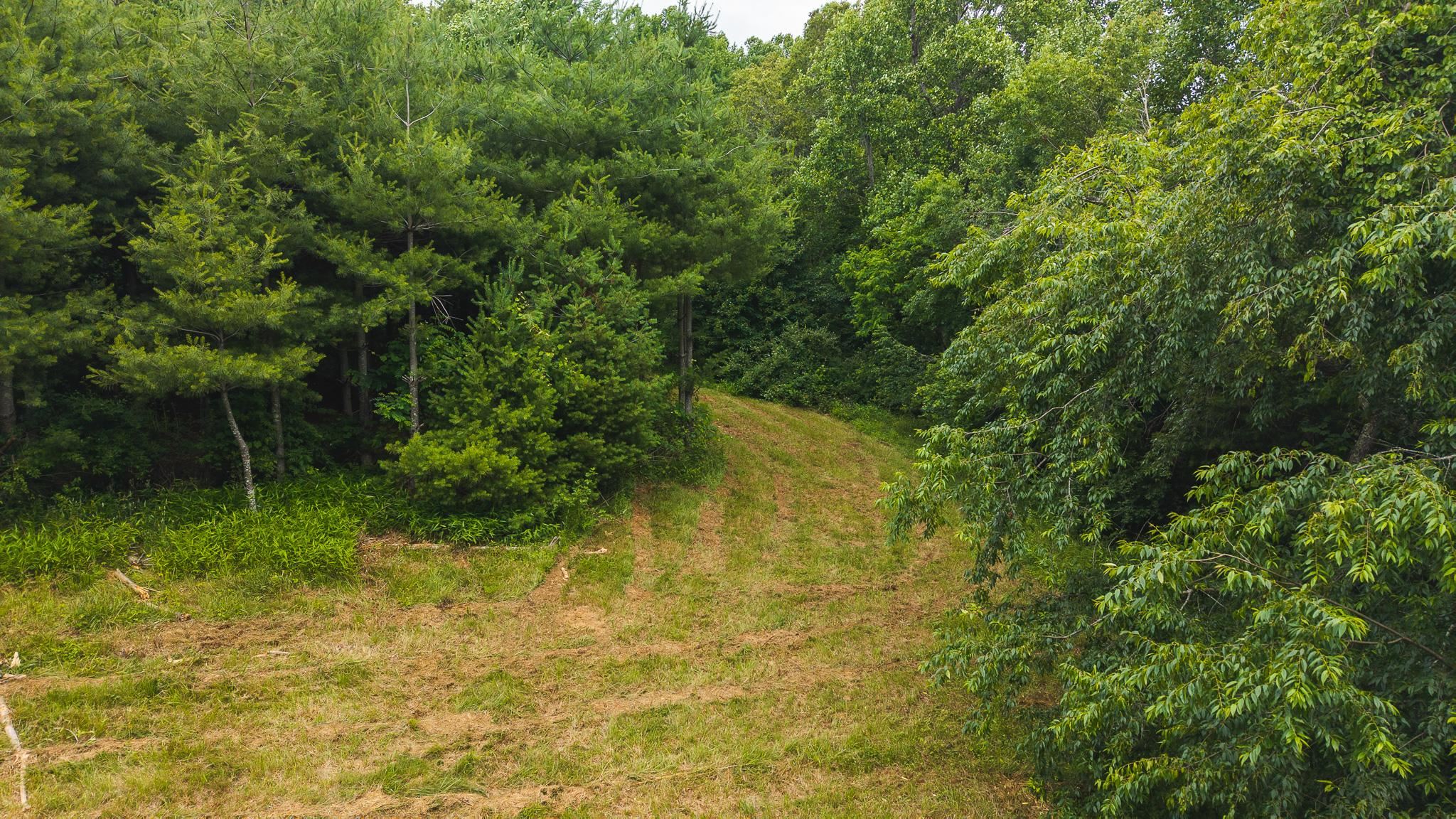 Tbd Ferney Creek Road Willis VA 24380