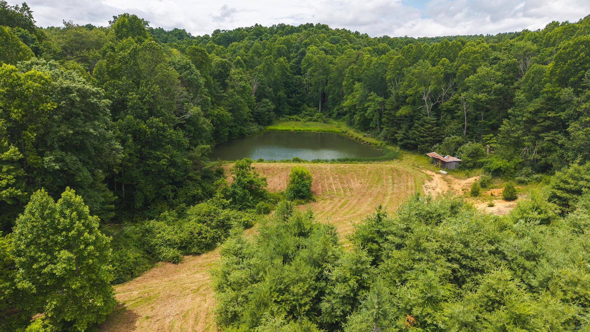 Tbd Ferney Creek Road Willis VA 24380
