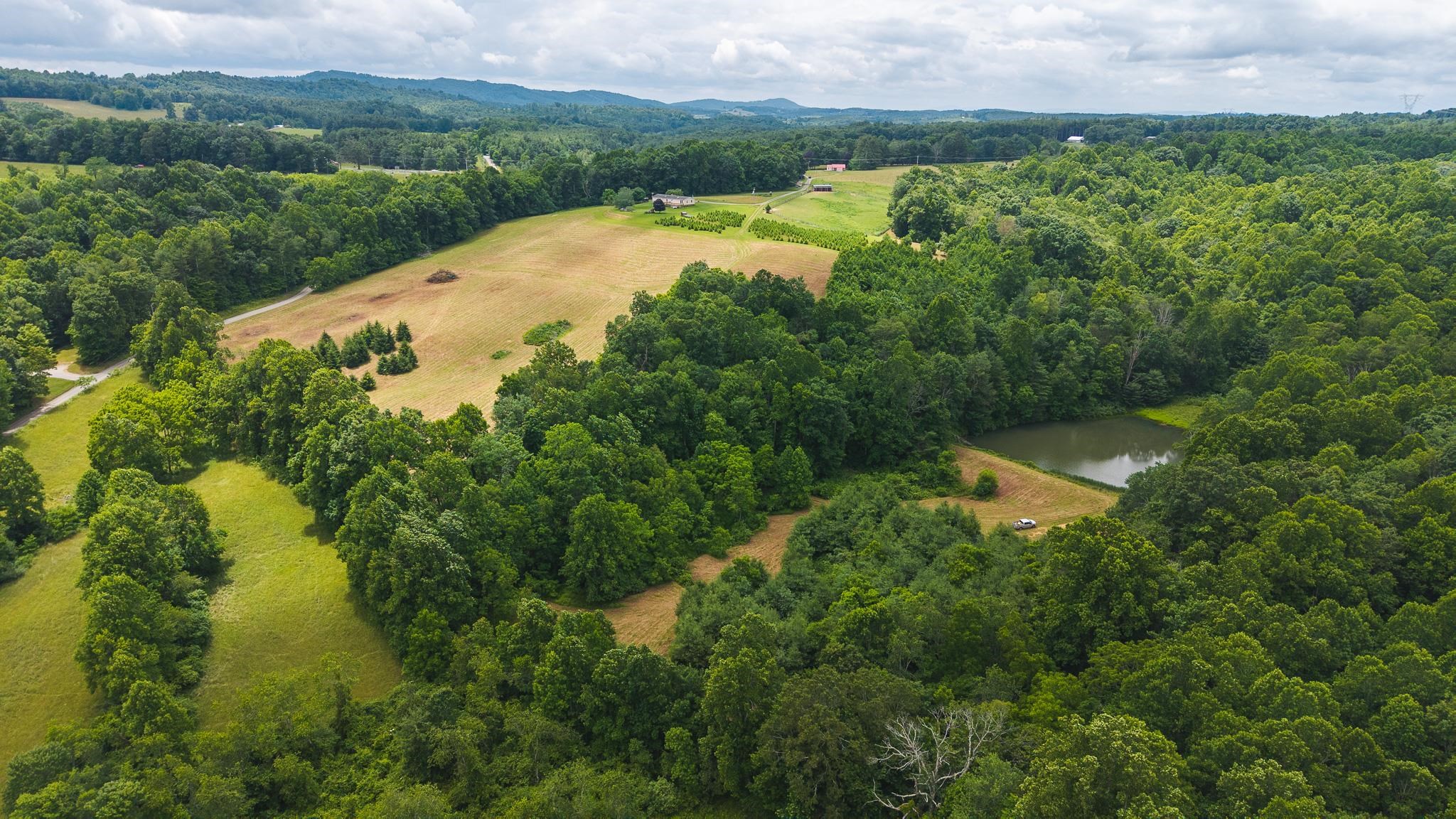 Tbd Ferney Creek Road Willis VA 24380