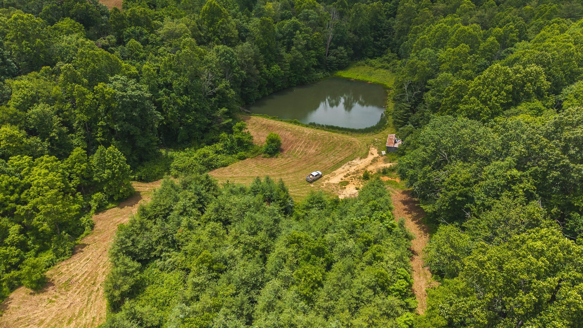 Tbd Ferney Creek Road Willis VA 24380
