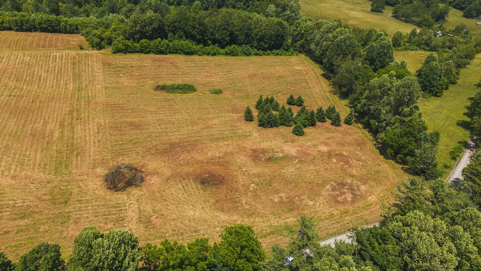 Tbd Ferney Creek Road Willis VA 24380