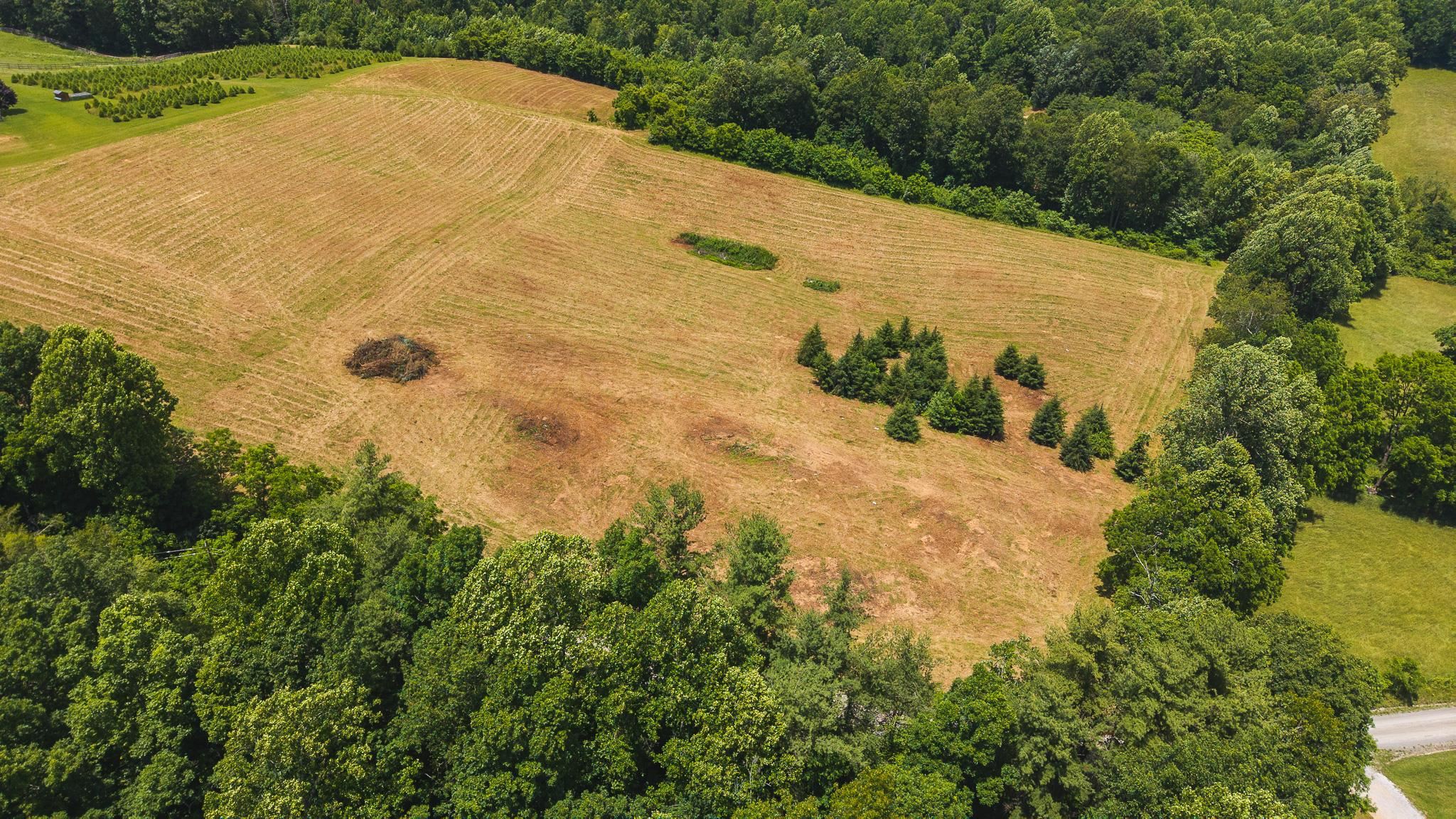 Tbd Ferney Creek Road Willis VA 24380