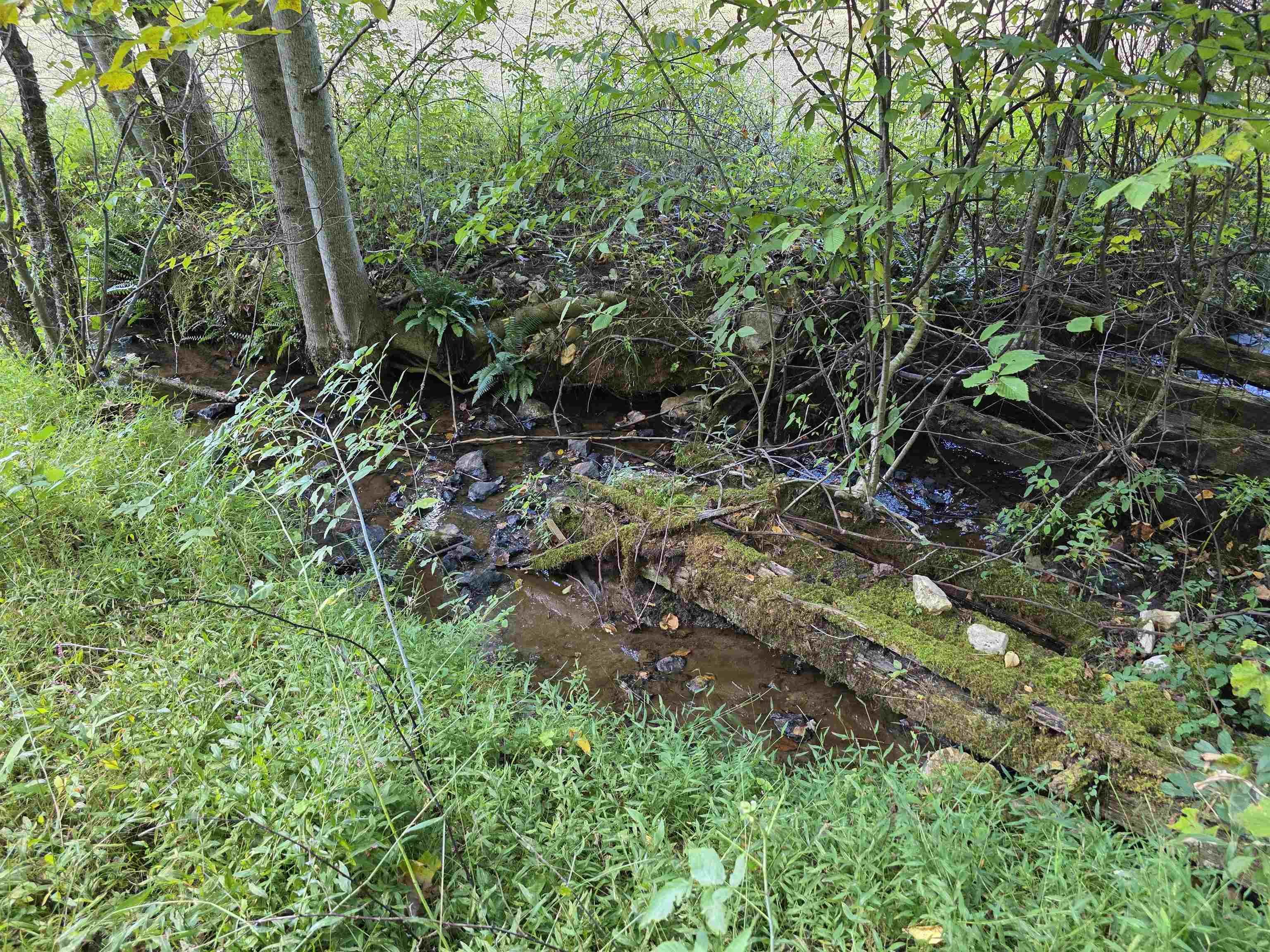 Tbd Ferney Creek Road Willis VA 24380