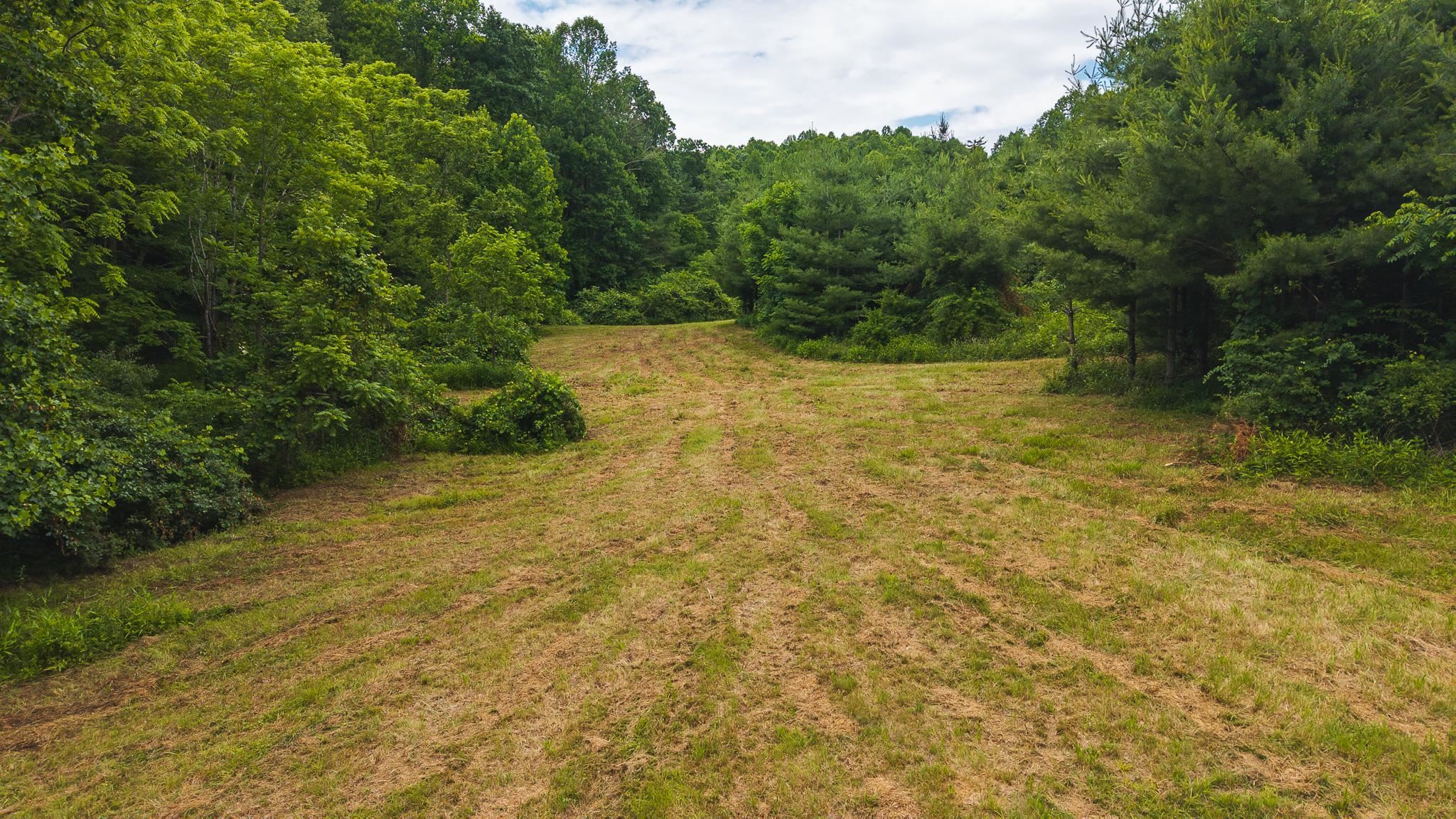 Tbd Ferney Creek Road Willis VA 24380