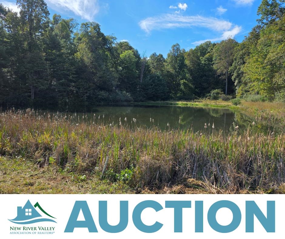 Tbd Ferney Creek Road Willis VA 24380